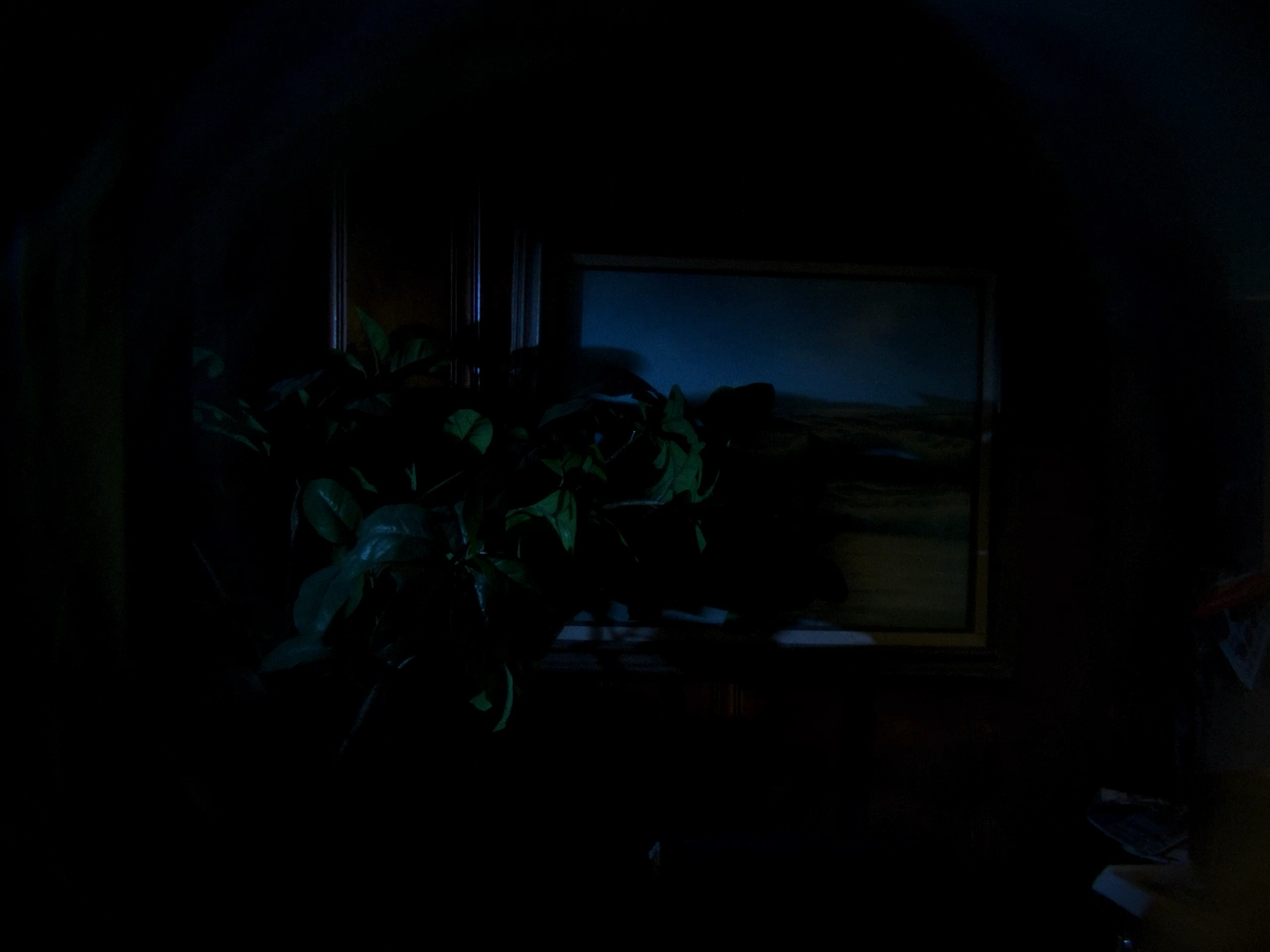 E03_MEDIUM_SG_013.png