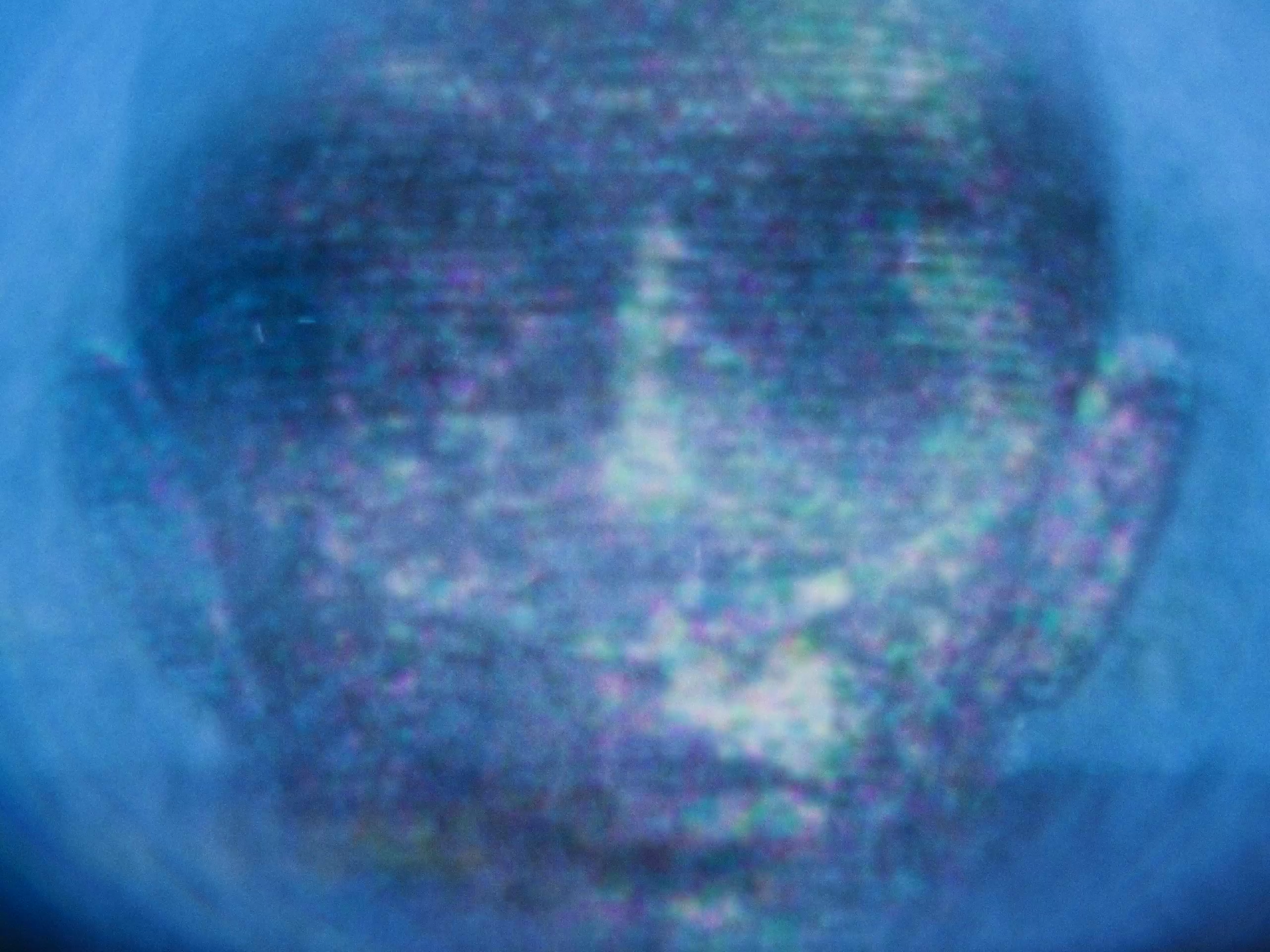 E03_MEDIUM_SG_116.png