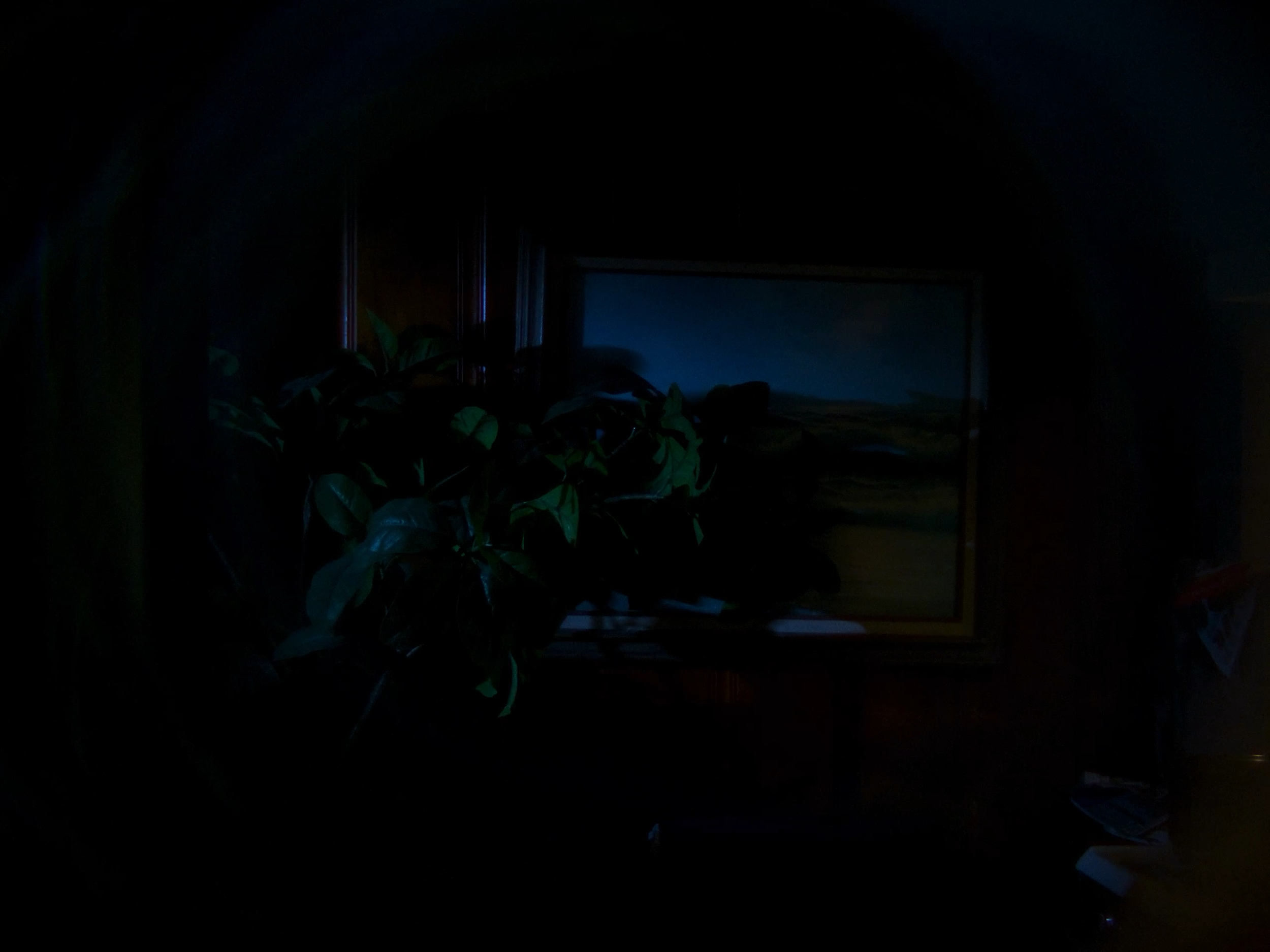 E03_MEDIUM_SG_087.png