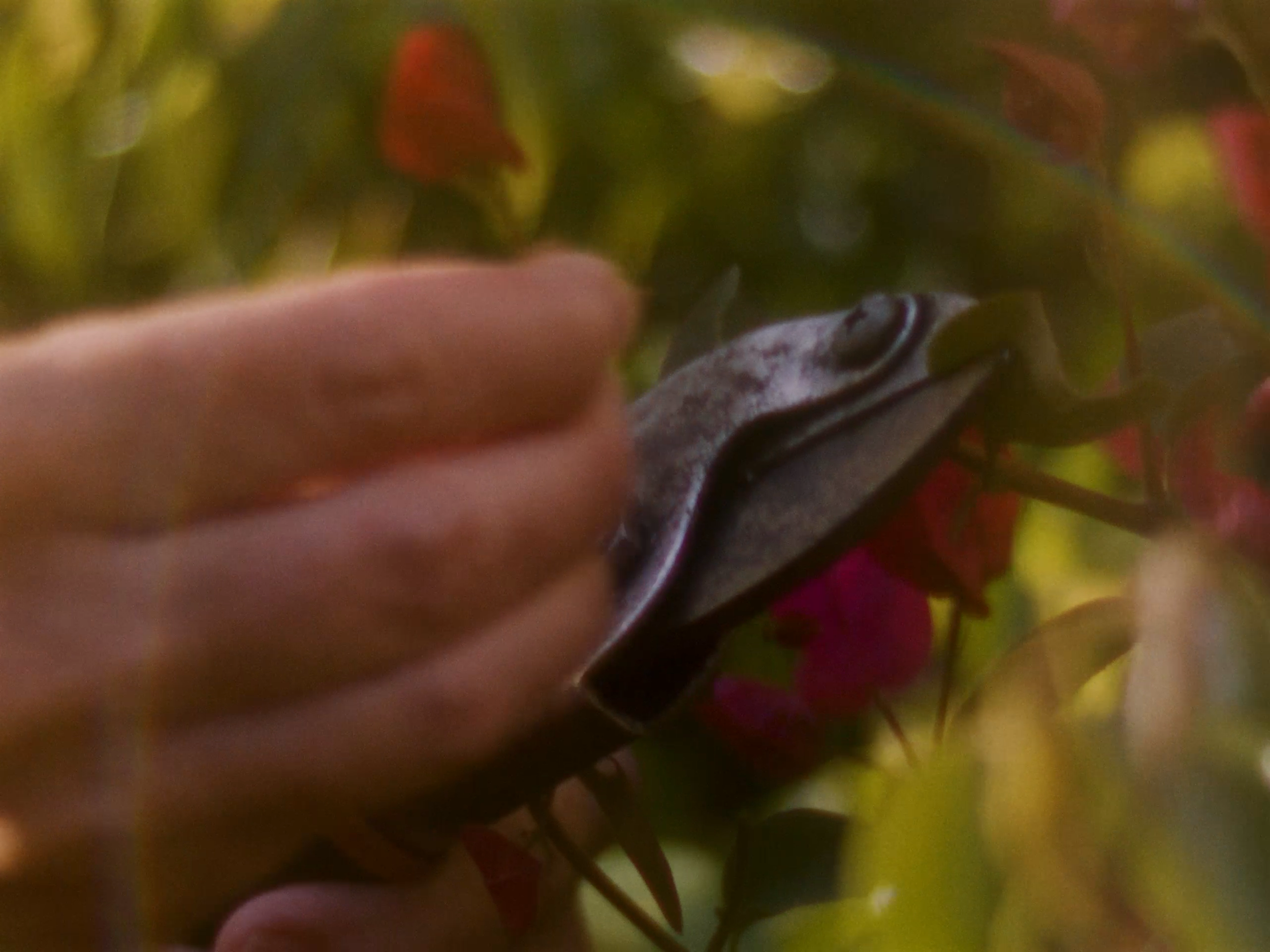 E03_MEDIUM_SG_068.png