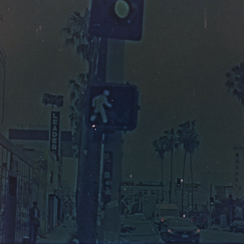 PAL.FLD.TX0002_THUIMB-GIF.gif