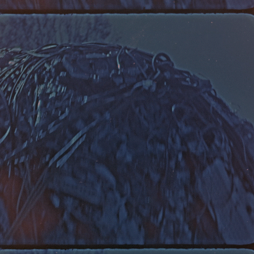 PAL.OFT.TX0004_THUMB-GIF.gif