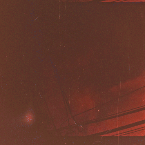 PAL.OFT.TX0005_THUMB-GIF.gif