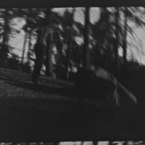 PAL.OFT.TX0014_THUMB-GIF.gif