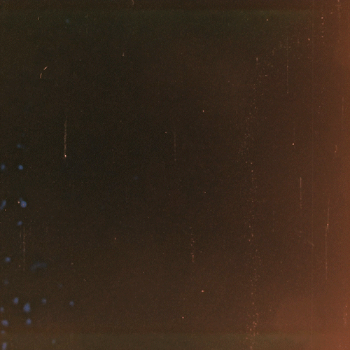 PAL.OFT.TX0003_THUMB-GIF.gif