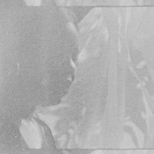 PAL.OFT.TX0017_THUMB-GIF.gif