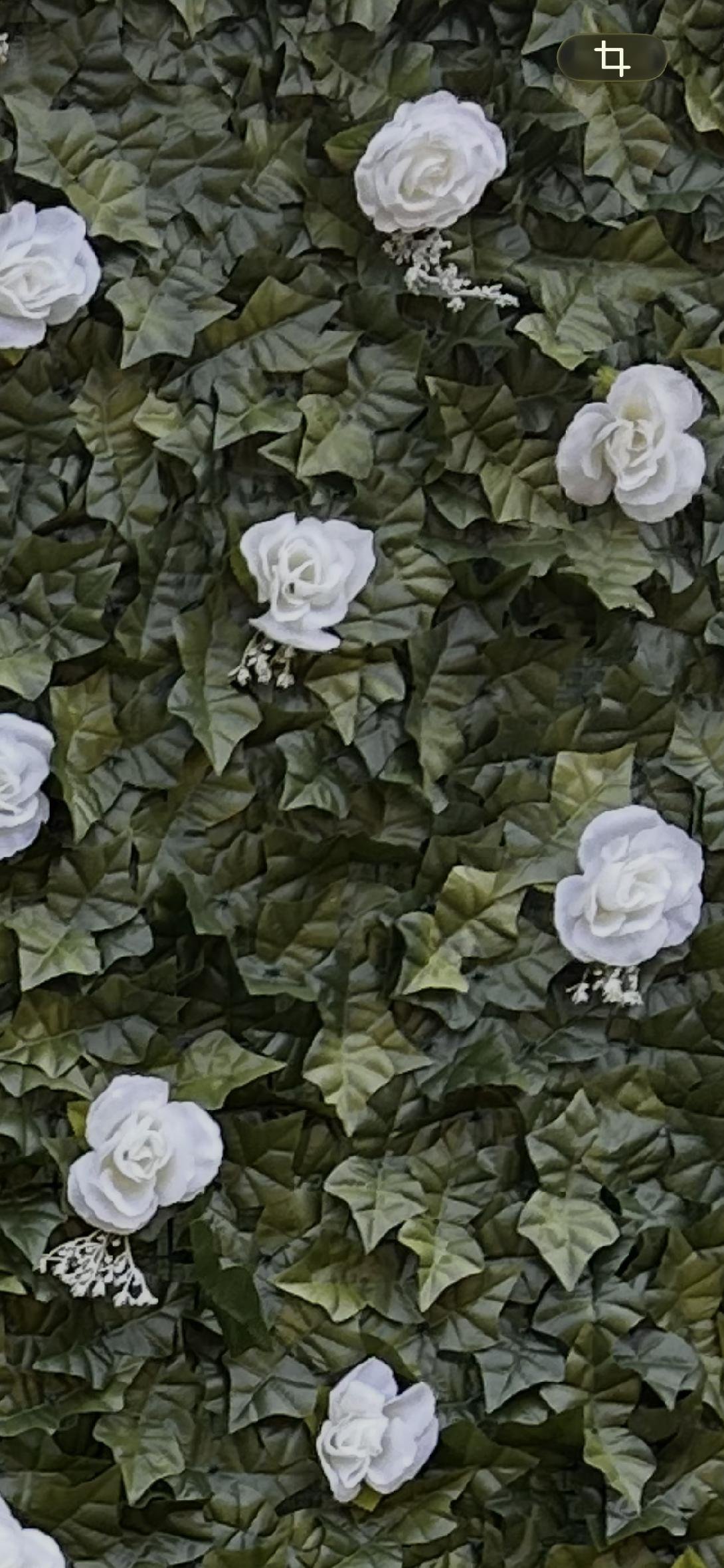 The Graceful Rose Wall