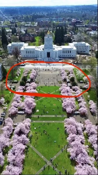 The Capitol building in Salem with the front area where the rally will be held circled