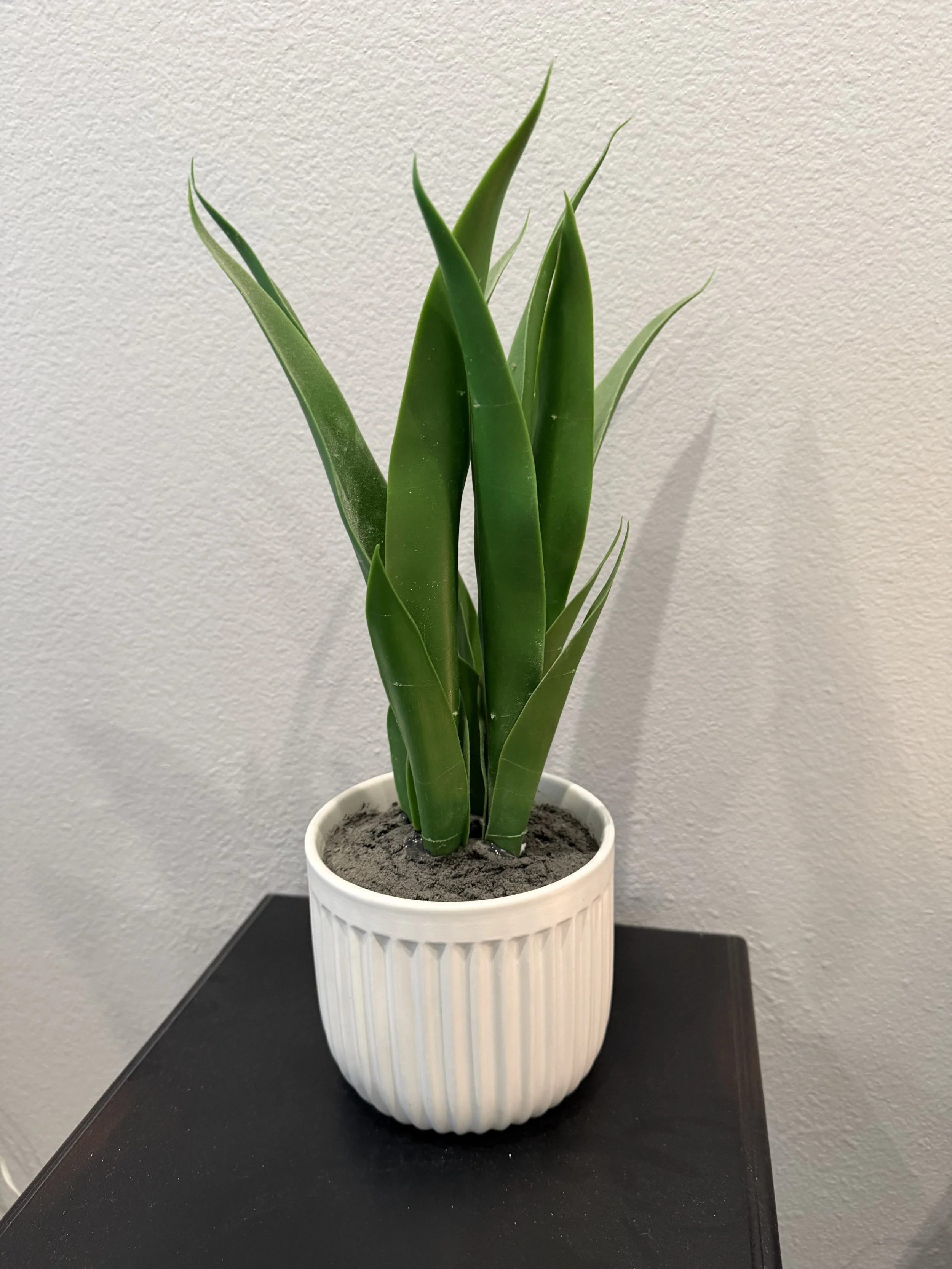 A potted green snake plant with tall, upright leaves in a white ribbed ceramic pot, placed on a black surface against a plain light-colored wall.