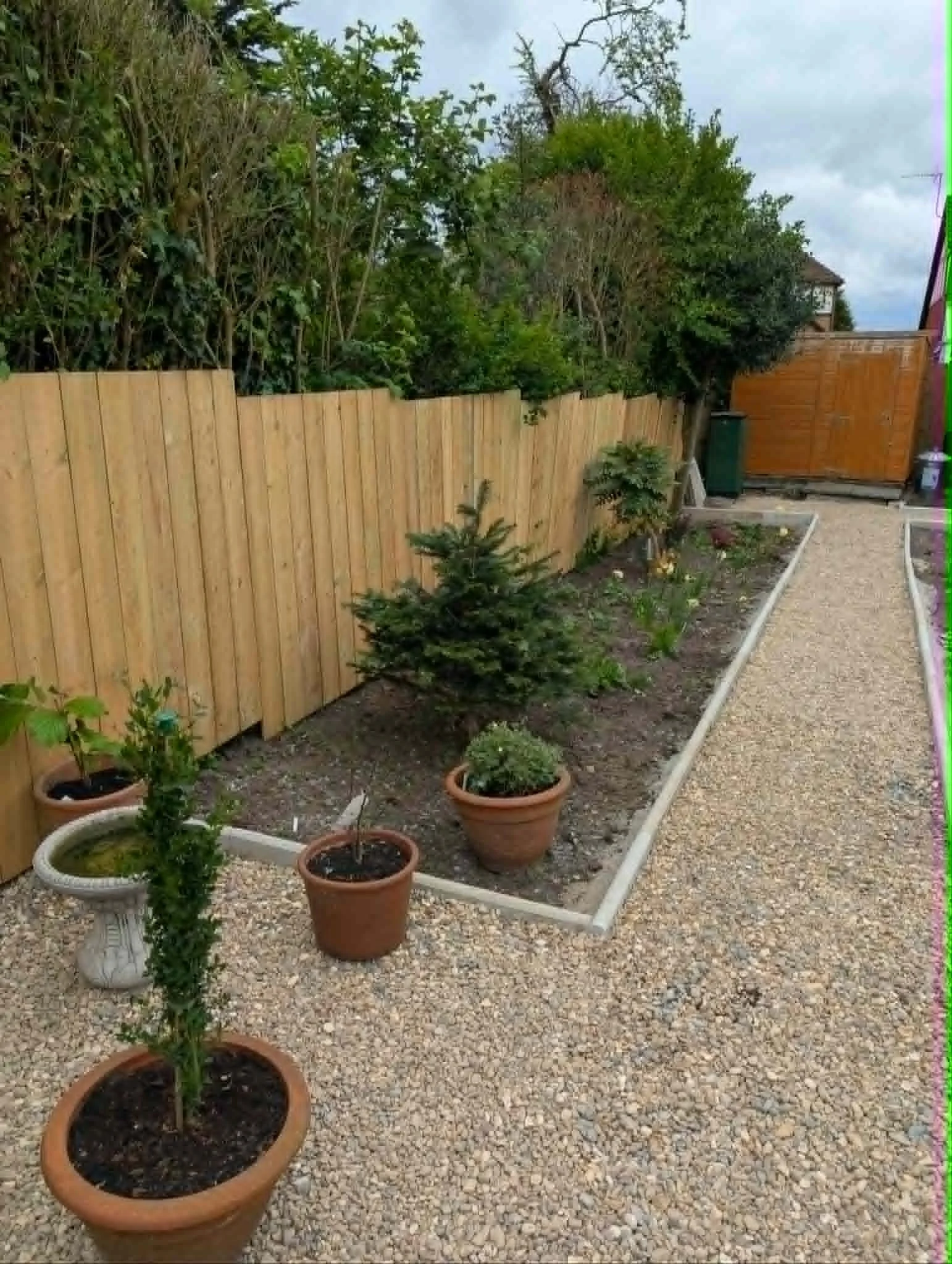 A backyard garden with potted plants, small evergreen trees, and a gravel pathway. There is a wooden fence, a gate, and some trees and bushes in the background under a cloudy sky.