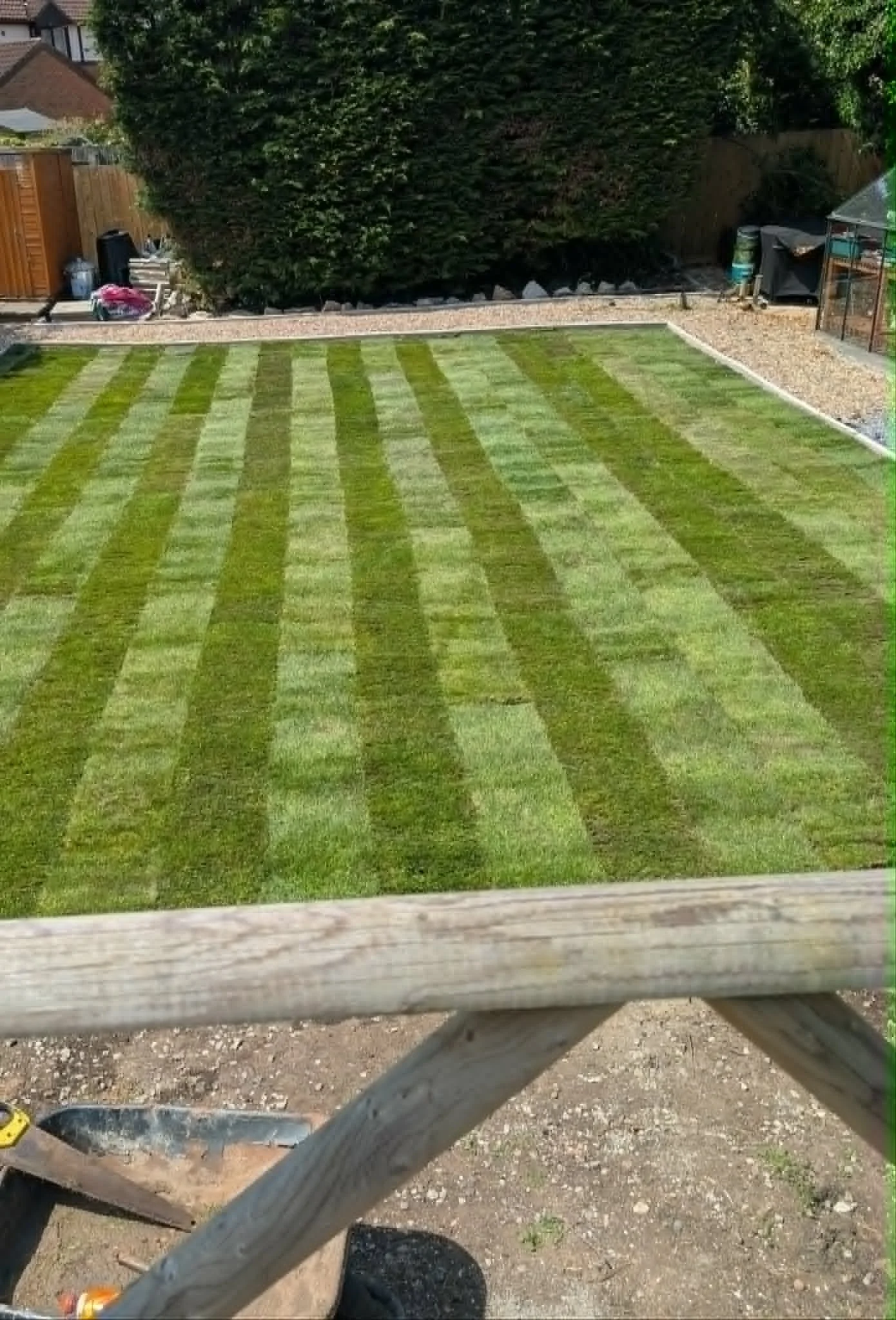 A backyard with freshly mowed grass in a striped pattern, a gravel border, and a large hedge along the back. There is a small greenhouse or plant shelter on the right side and some gardening tools and supplies on the left side. The photo is taken fro