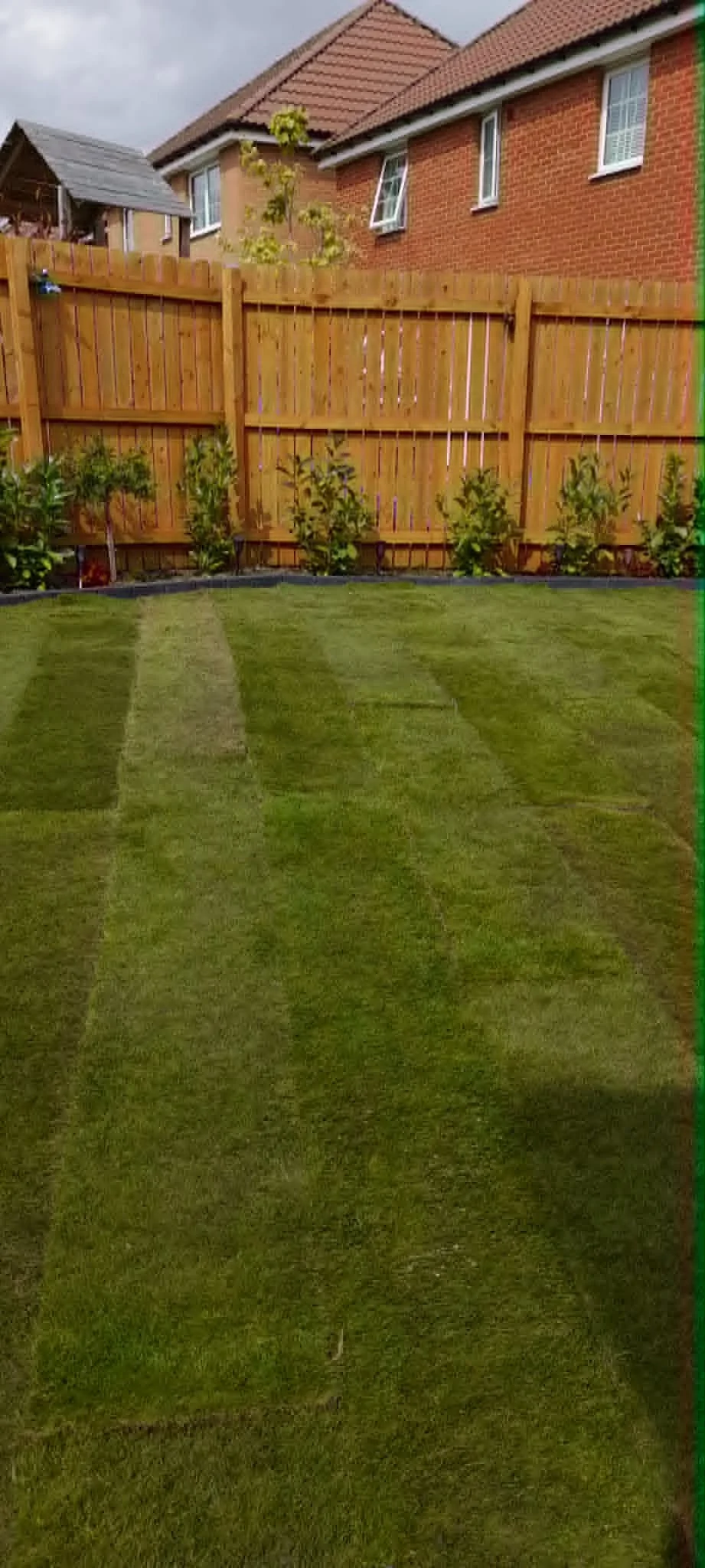 A backyard with freshly mowed grass, a wooden fence, and a row of small trees or bushes along the fence. There are houses in the background under a cloudy sky.