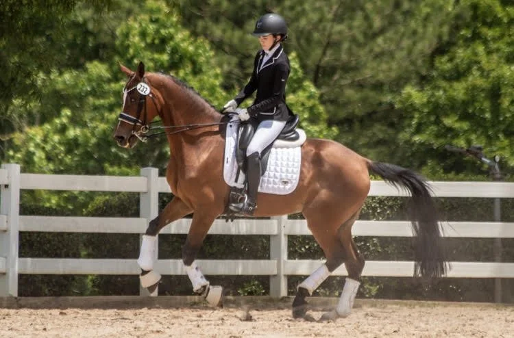 A woman riding a brown horse with a white saddle pad in an outdoor arena, surrounded by green trees, during daytime.