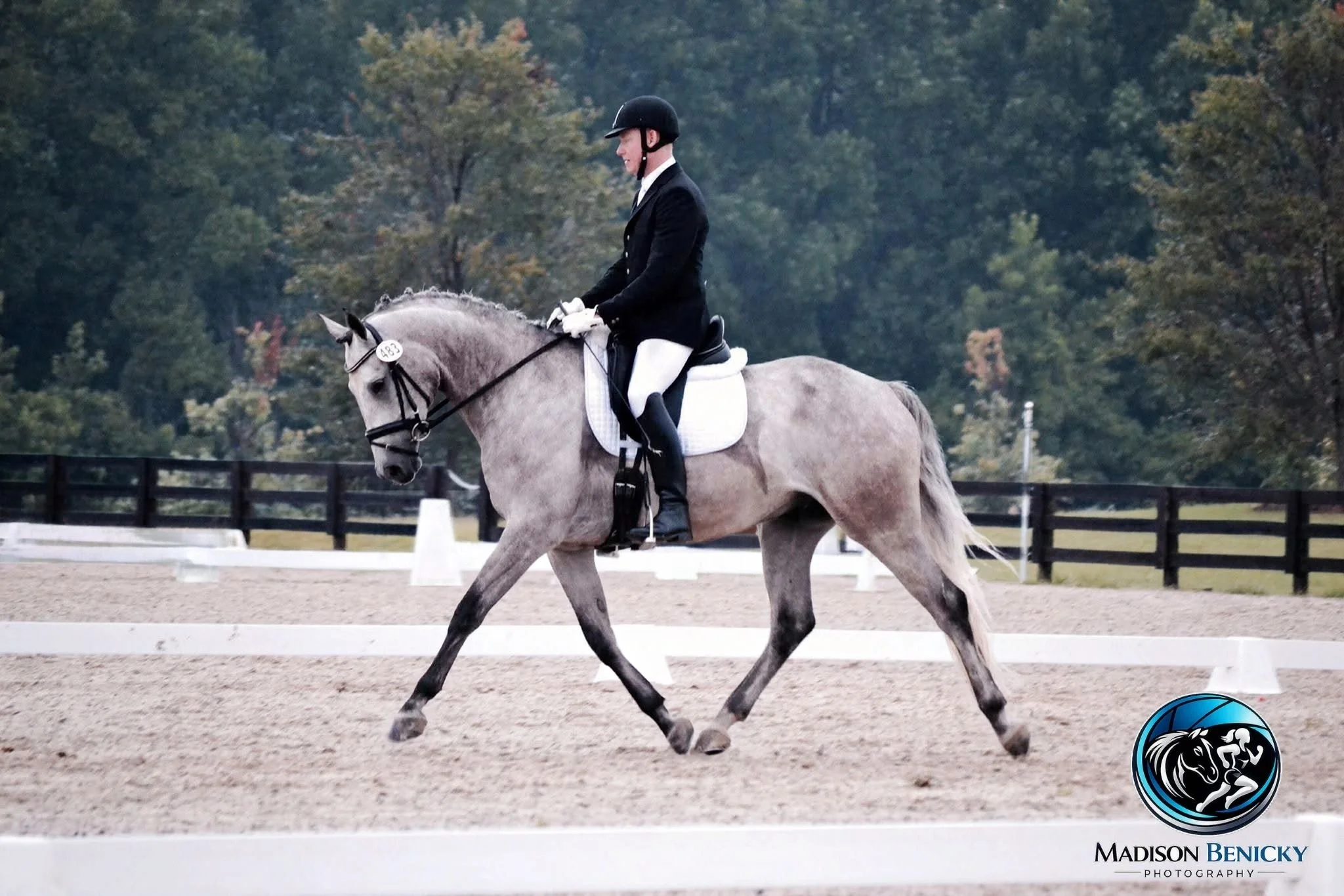 A rider in formal attire riding a gray horse in an outdoor dressage arena, with trees in the background.