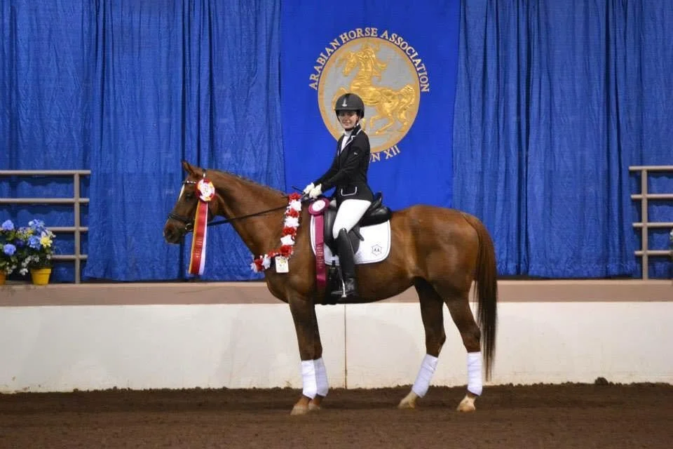 A female equestrian rider in formal riding attire, including a helmet, sits on a brown horse decorated with a Reserve Champion garland and a ribbon, inside a riding arena with blue curtains and a blue banner reading 'Arabian Horse Association'.