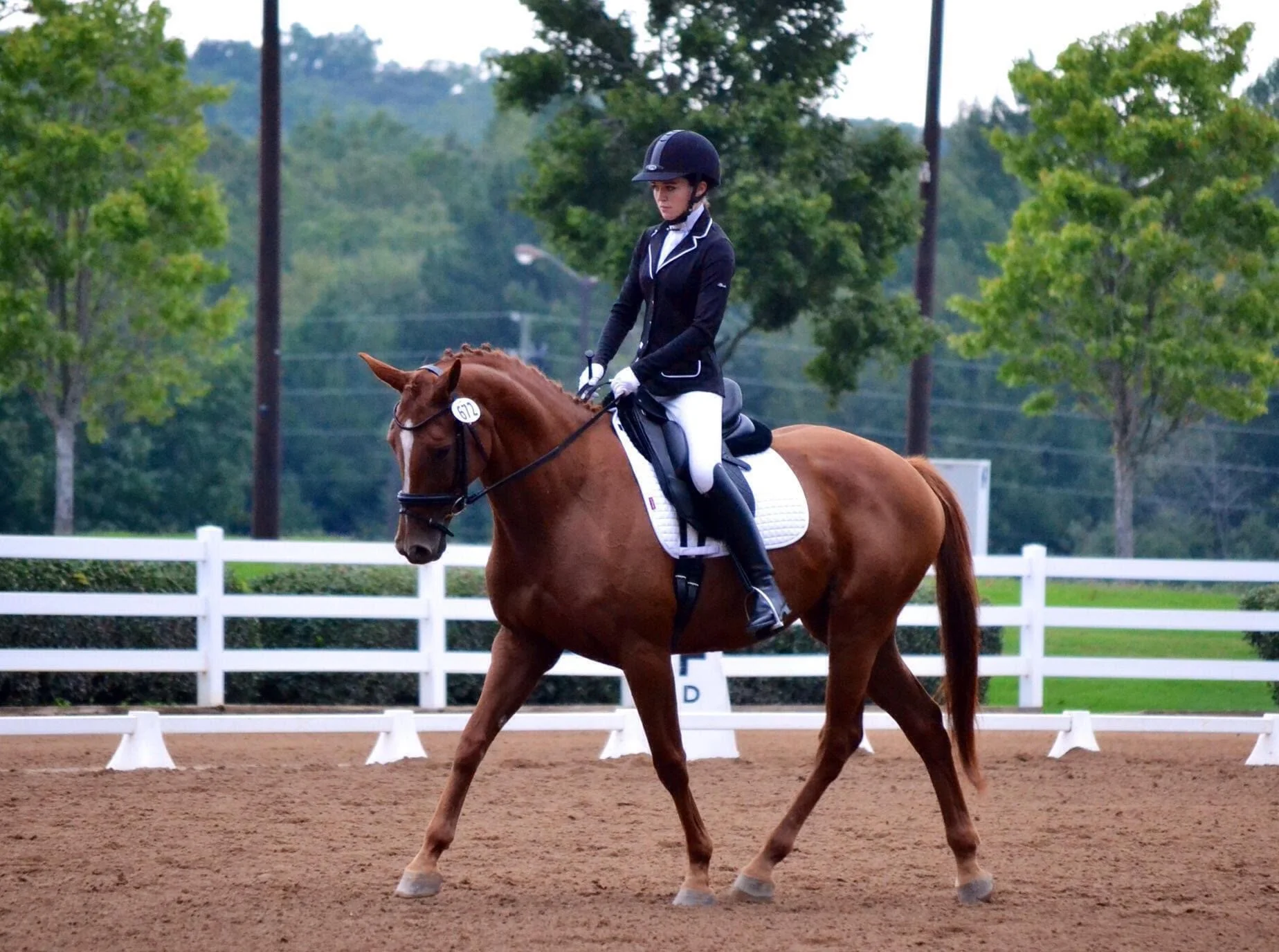 A woman dressed in formal riding attire, including a black helmet, riding jacket, and white breeches, riding a chestnut horse on a dressage or equestrian arena with a white fence and trees in the background.