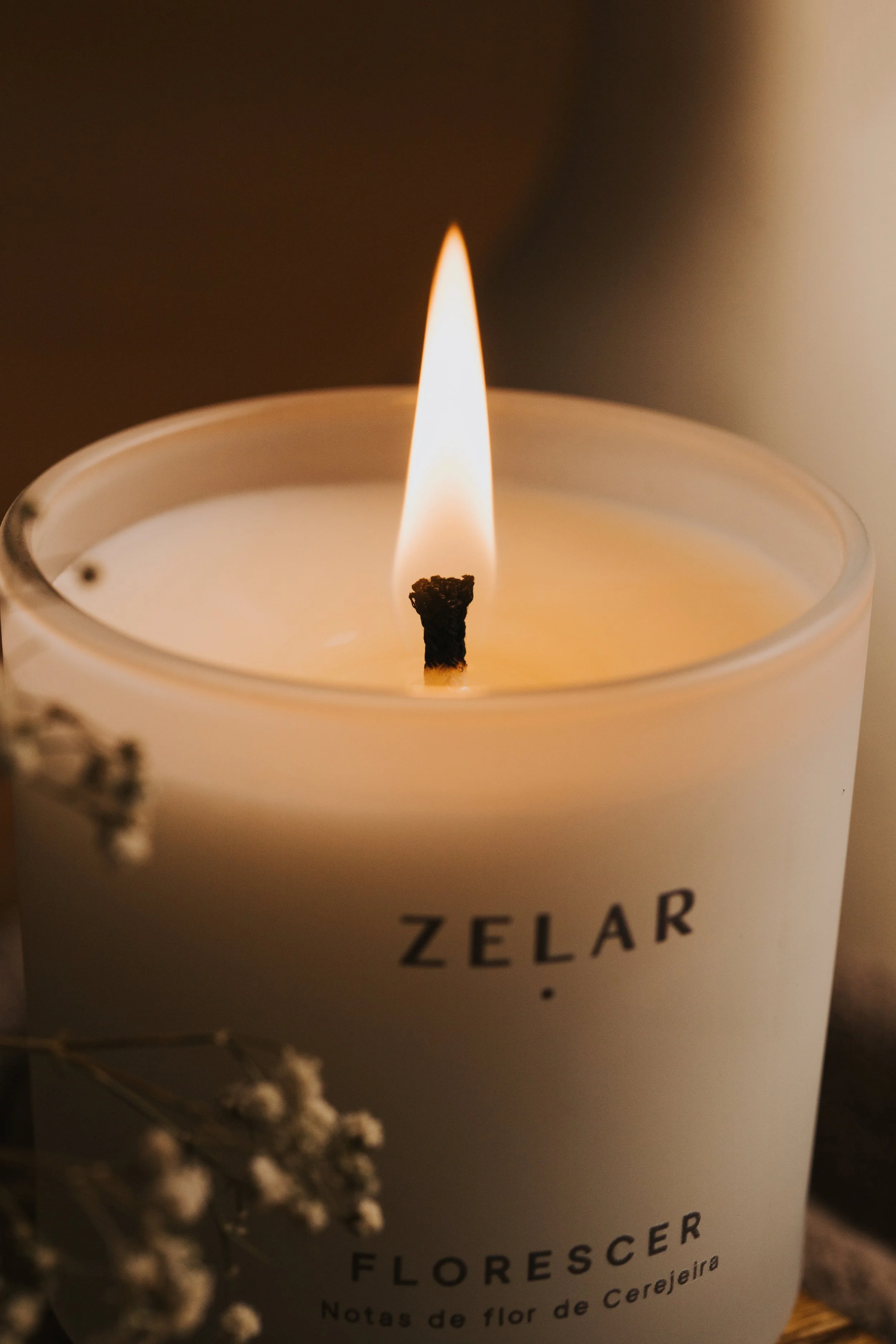 ZELAR_Prod-42.jpg