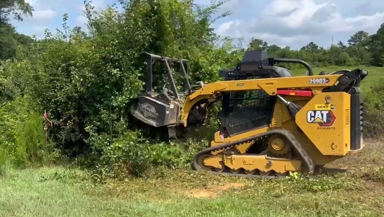 A Caterpillar skid steer loader clearing bushes and small trees from a grassy area.