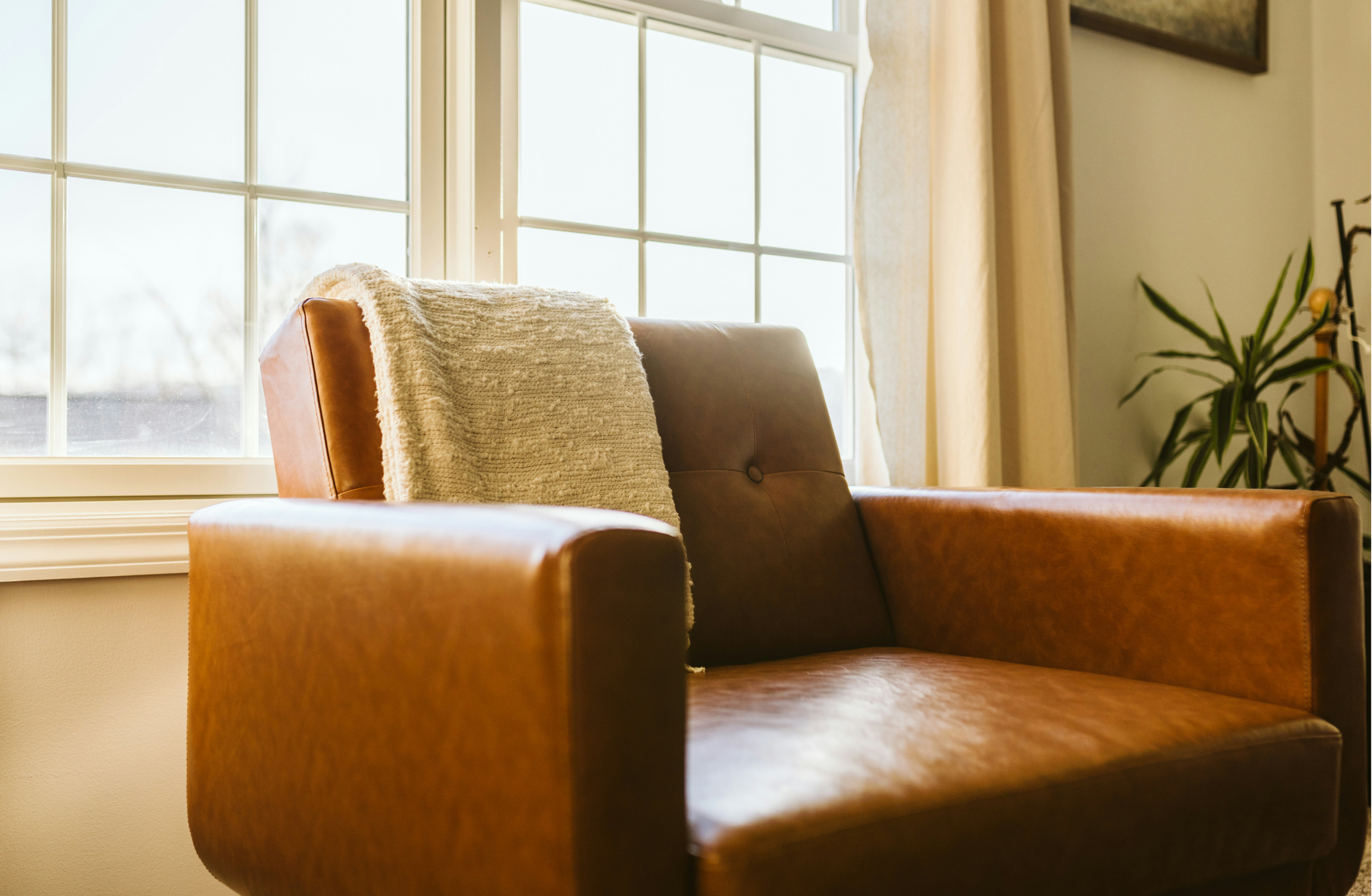 Close-up of a brown leather armchair with a beige textured blanket draped over the back, near a large window with divided panes, and a potted plant with long green leaves in the background.