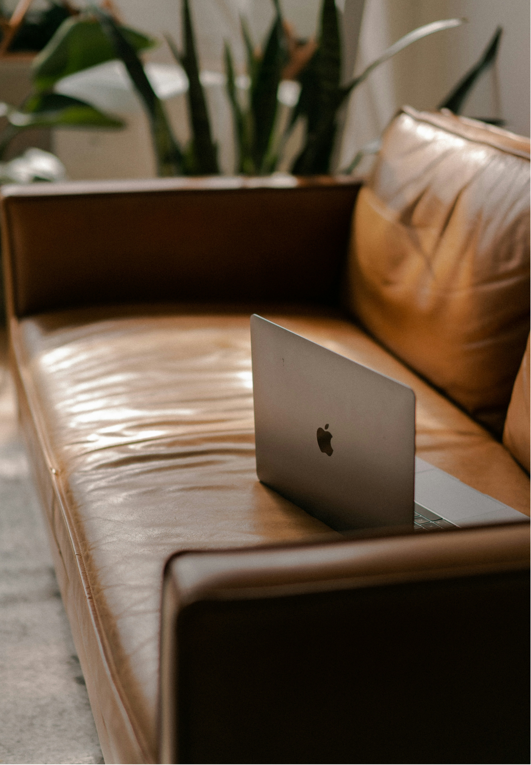 A silver Apple MacBook laptop on a light brown leather sofa in a living room, with a large green plant in the background.