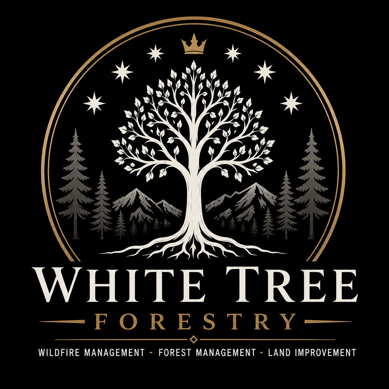 Serving the Pikes Peak Region in Colorado Springs