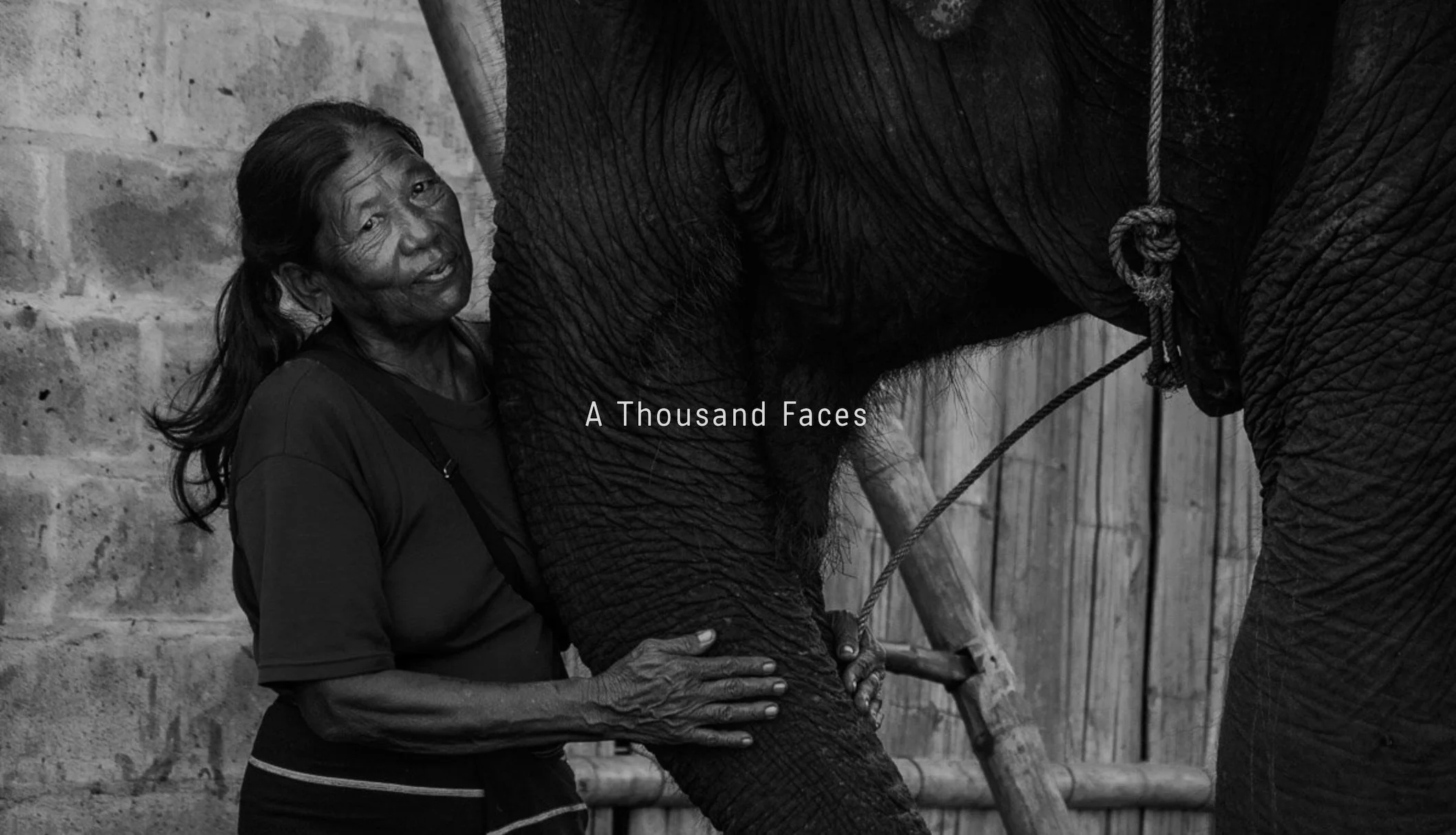 A Thousand Faces