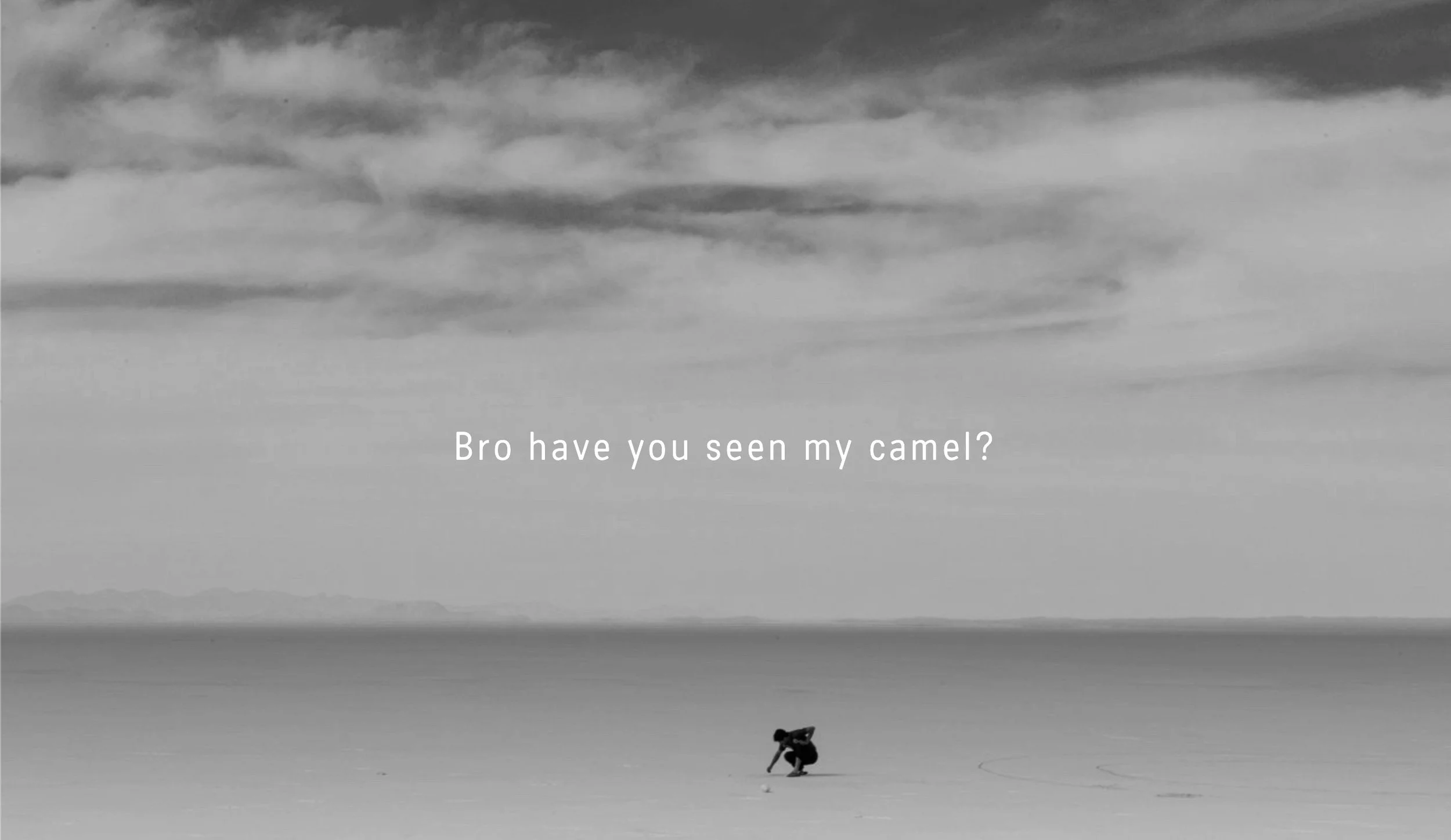 Bro, Have you seen my Camel?