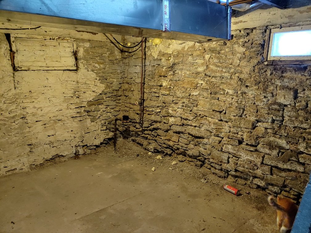 Basement with exposed stone walls, a small window, concrete floor, and pipes in the corner. A blue object hangs from above, and a small dog is partially visible in the lower right corner.