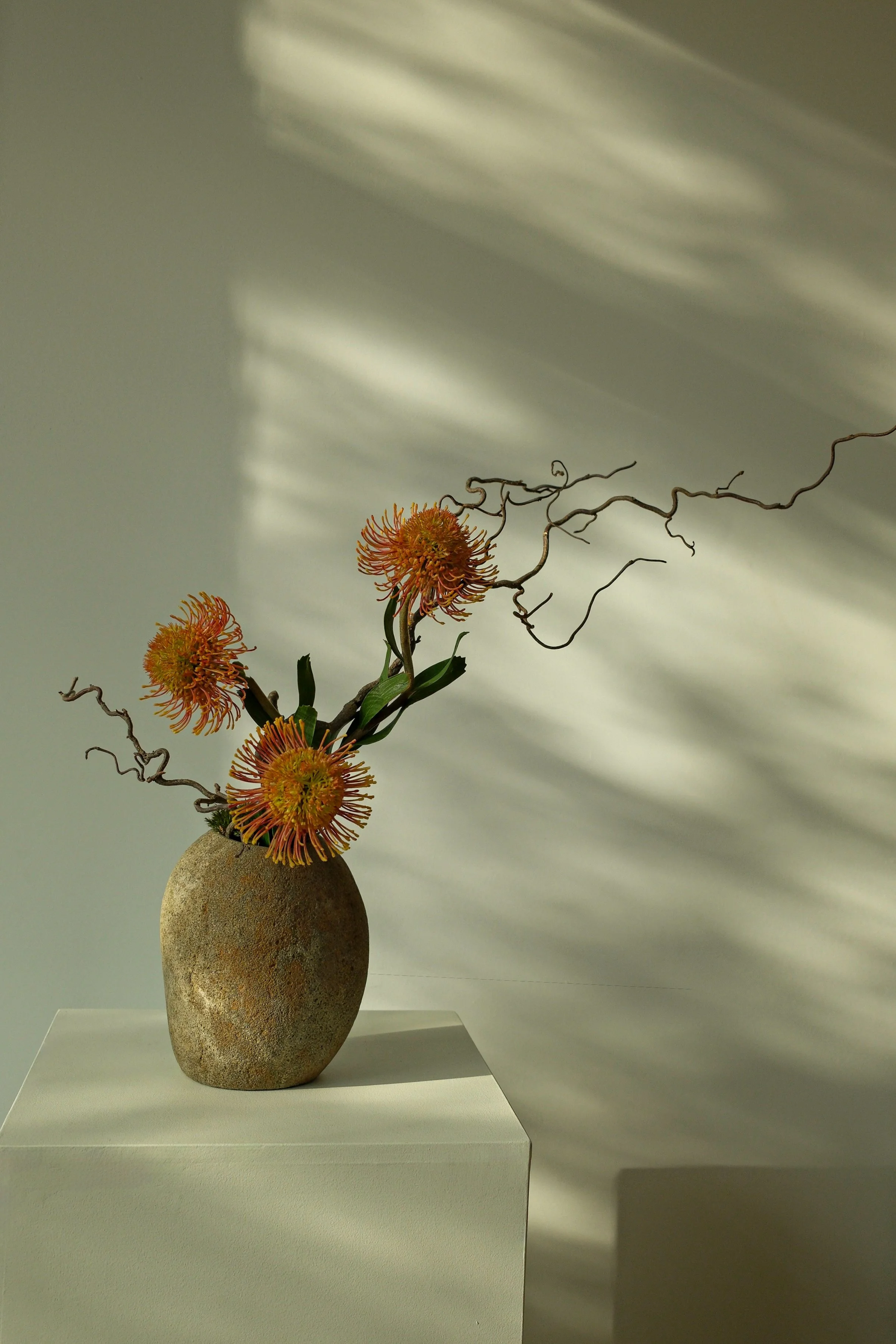 Orange pincushion flowers and curly branches arranged in a textured stone vase on a white pedestal.