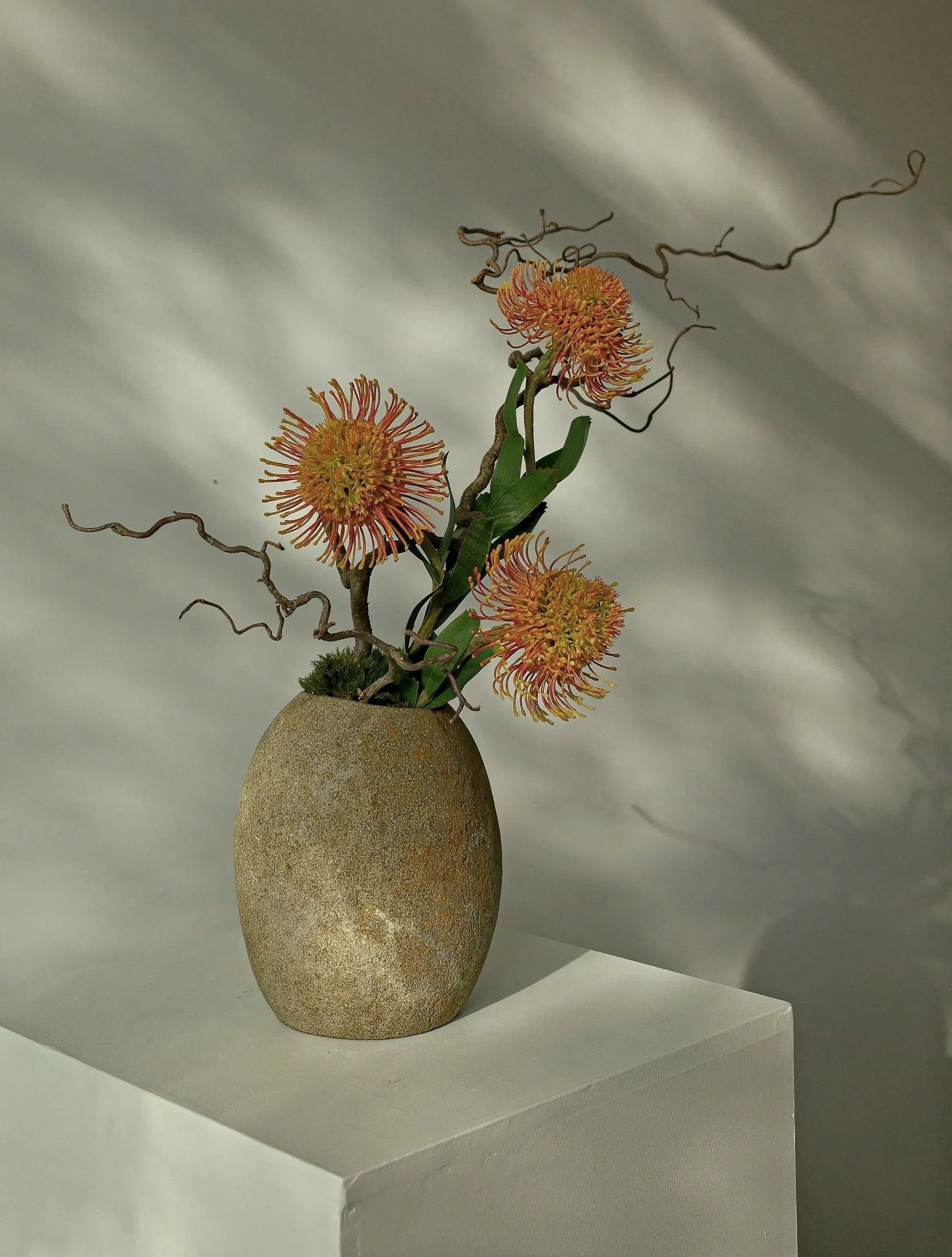 DSCF1009.jpg