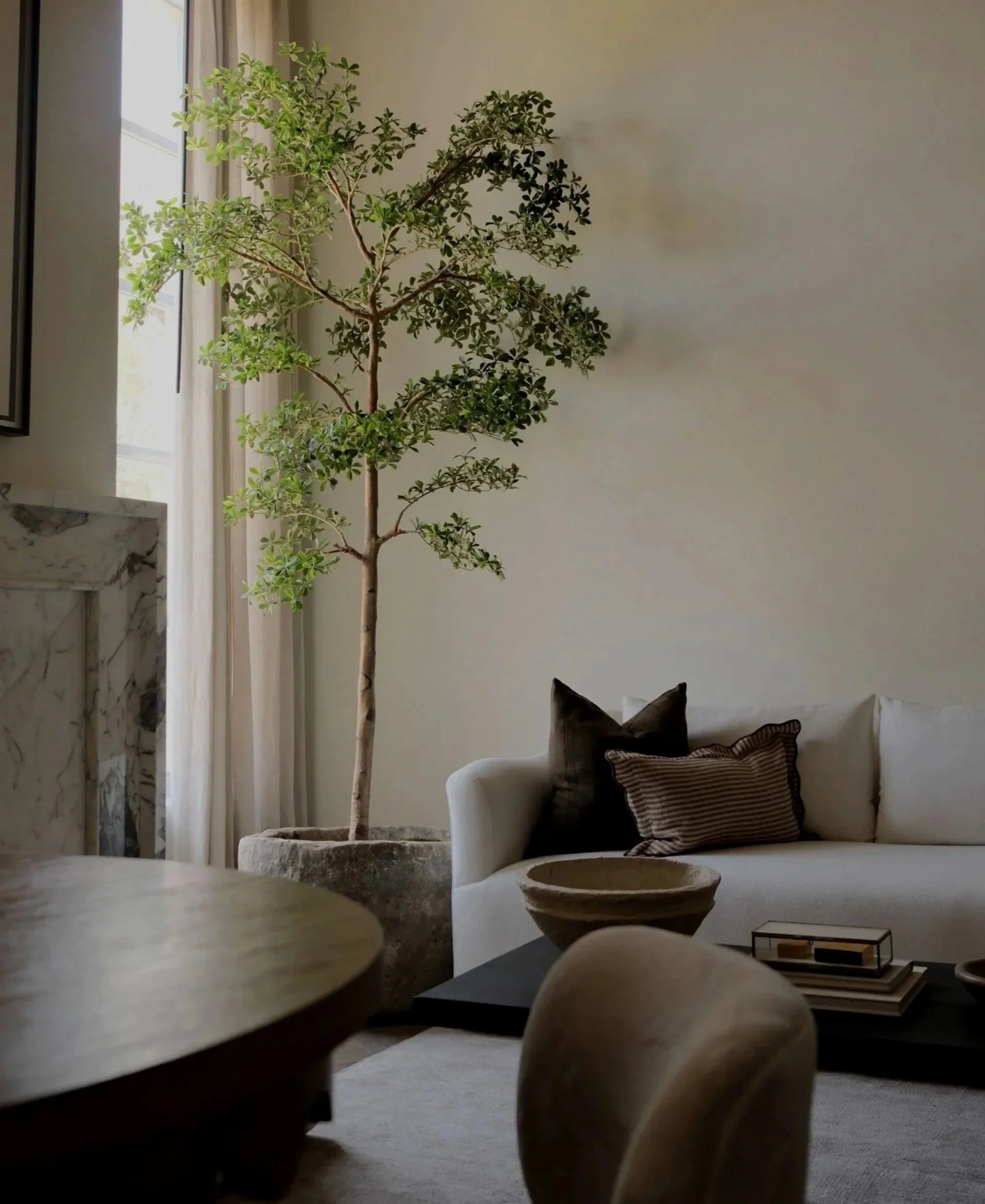 Elegant living room with a tall potted indoor tree, white sofa, decorative pillows, marble fireplace, and modern coffee tables.