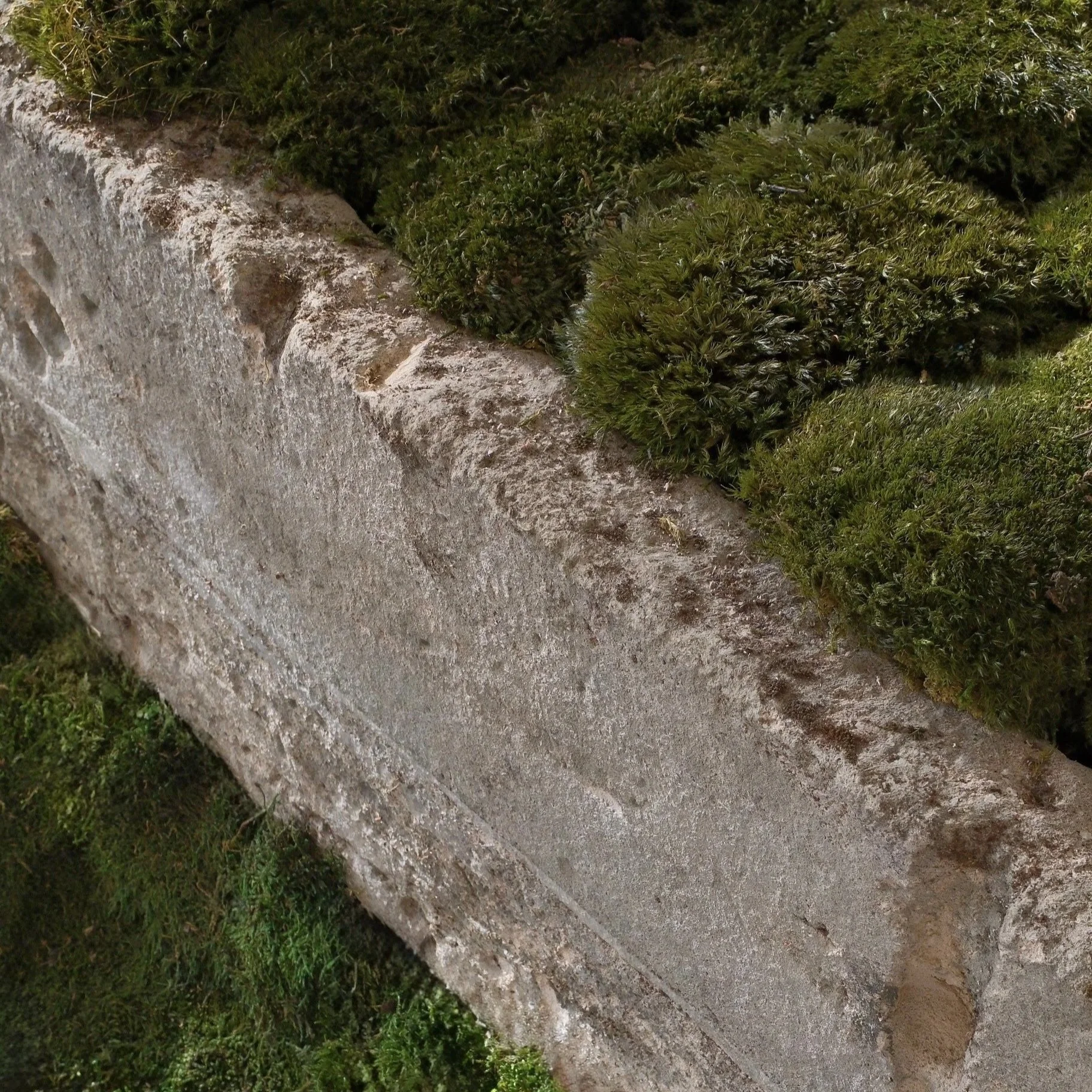 Weathered stone wall covered with dense green moss and vegetation