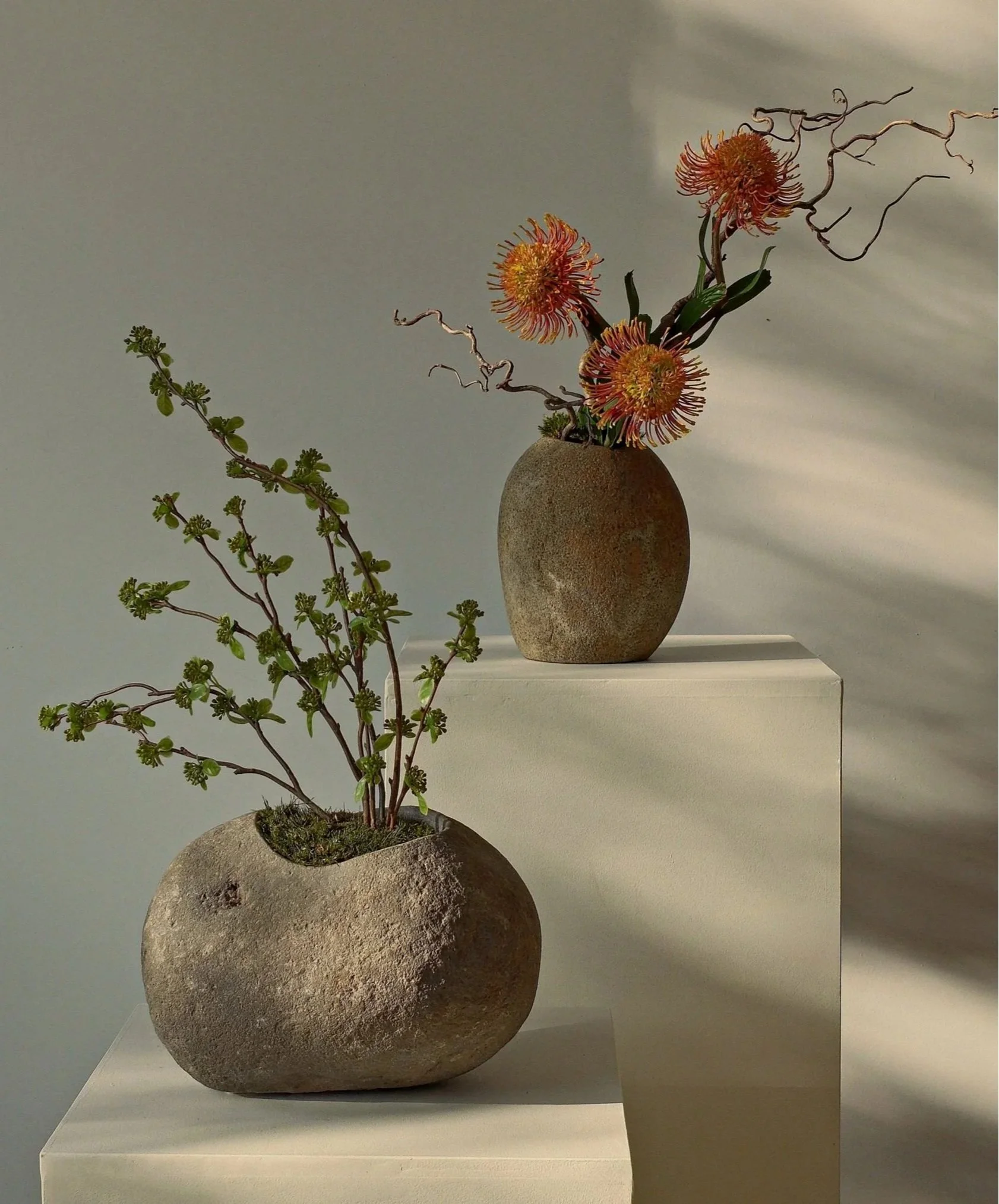 Artistic floral arrangement with orange pincushion flowers and leafy branches in rustic stone vases on white pedestals