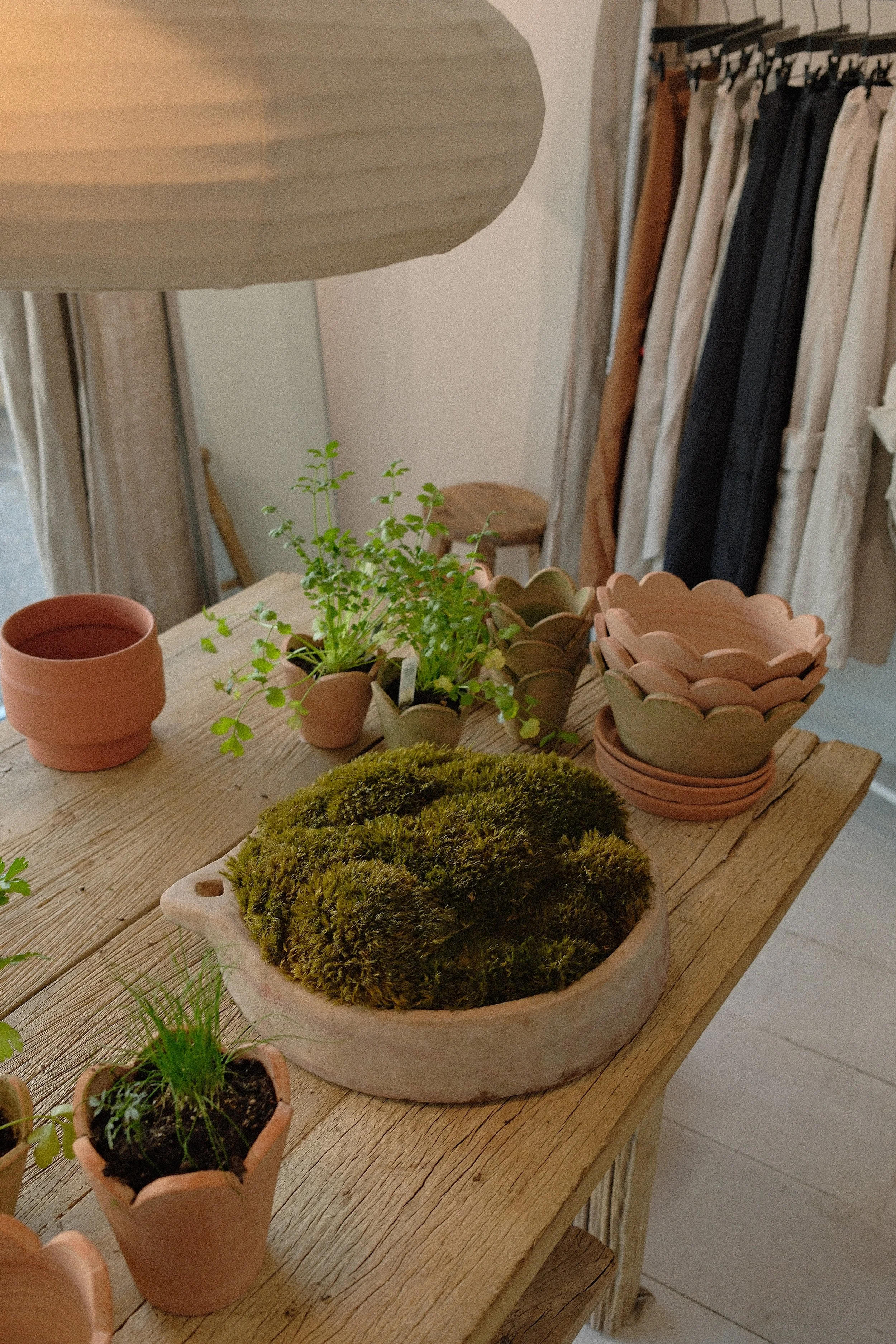 DSCF4937.jpg