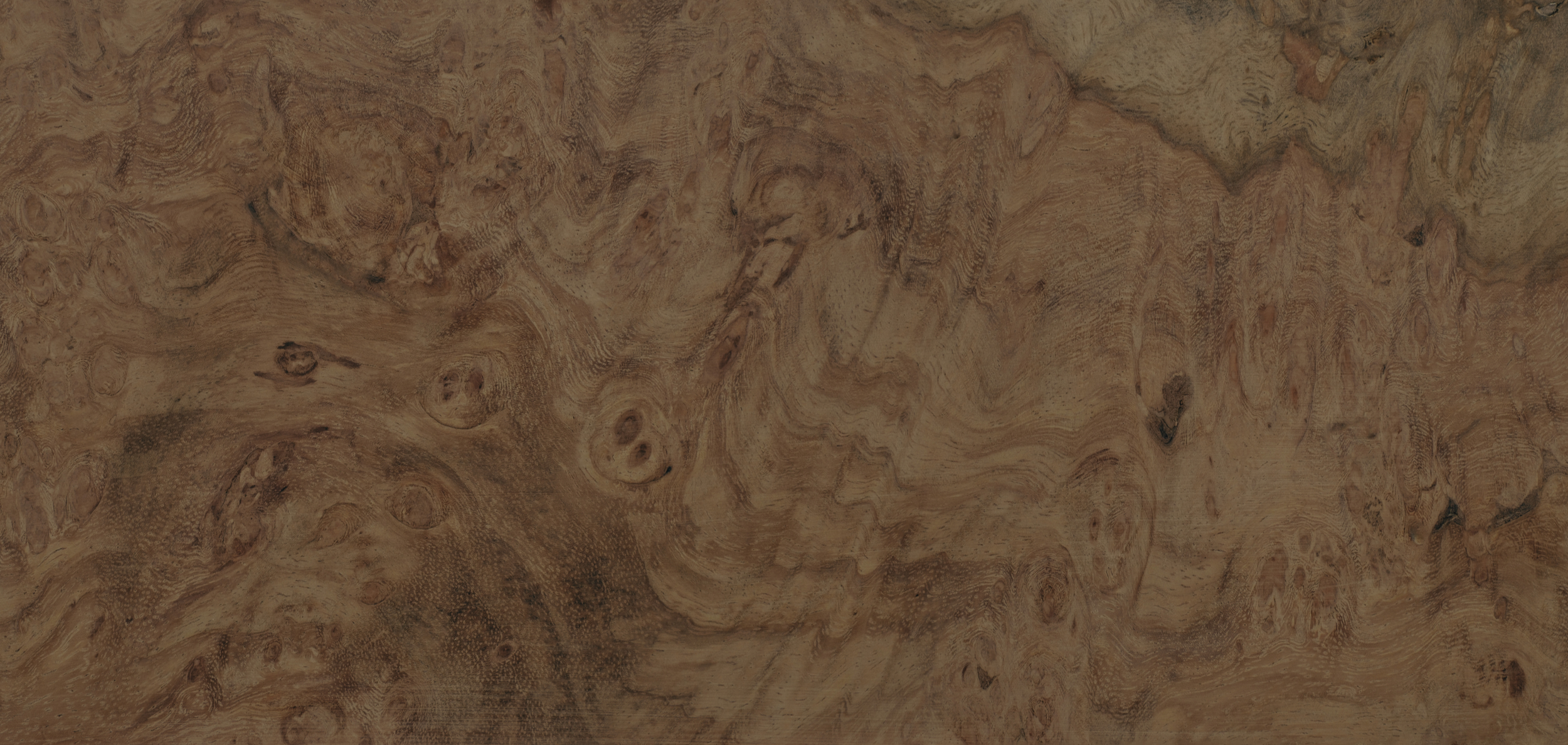 Close-up of richly textured brown burl wood grain with swirling patterns and knots