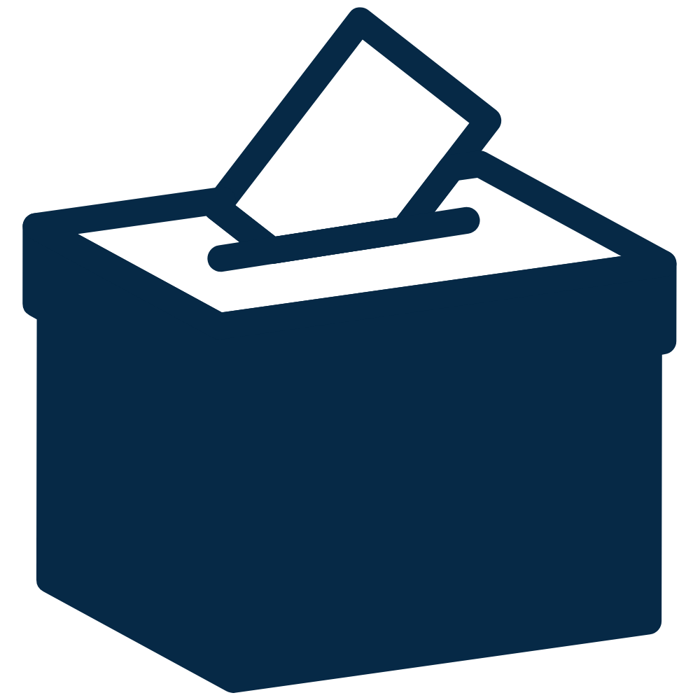 Election icon