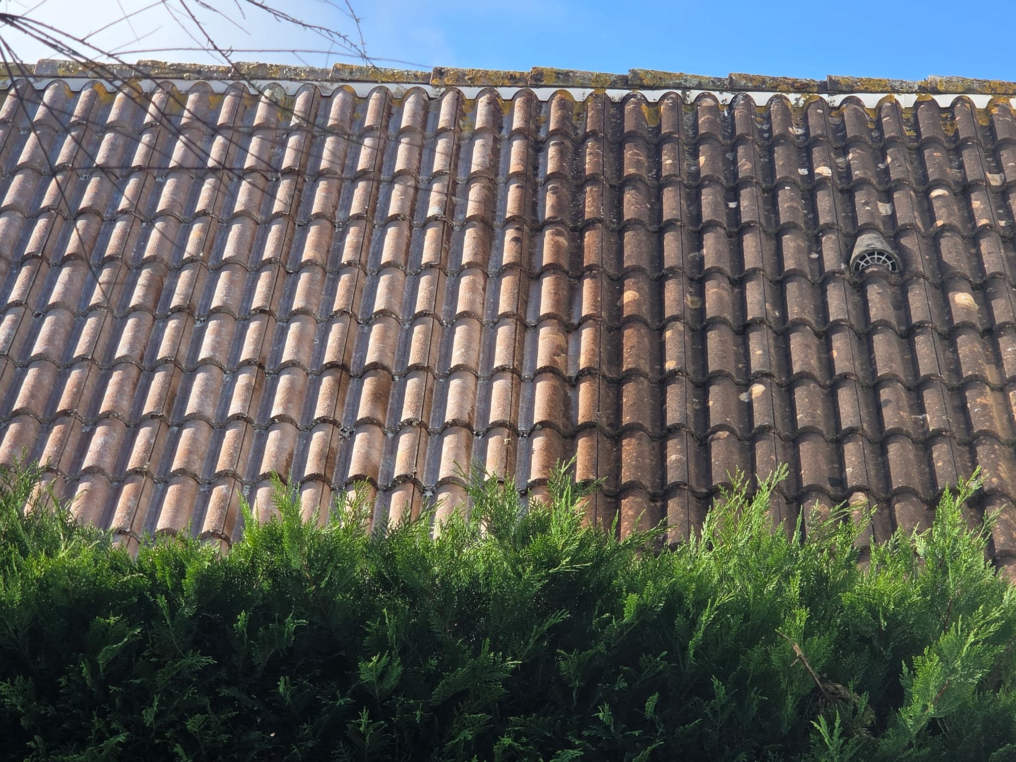 Un toit en tuiles en terre cuite avec des plantes vertes à la base et un ciel bleu clair en arrière-plan.