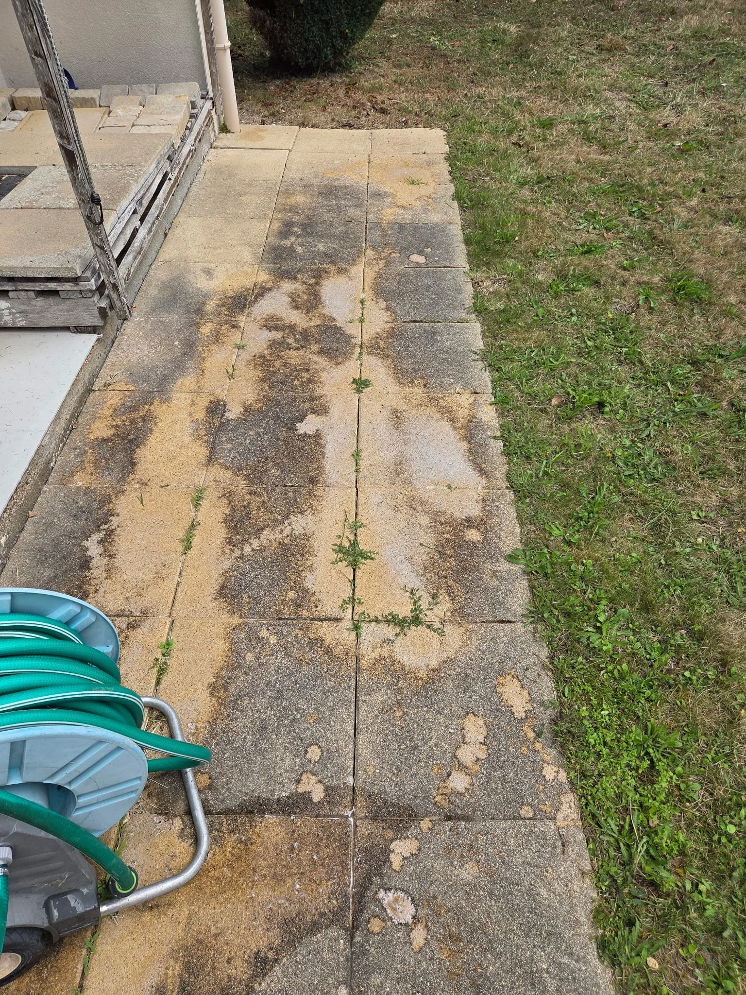 Trottoir en béton sale avec de la poussière et de la saleté, bordé de pelouse verte, à gauche une tuyauterie verte enroulée, et à gauche un mur en construction avec un échafaudage.