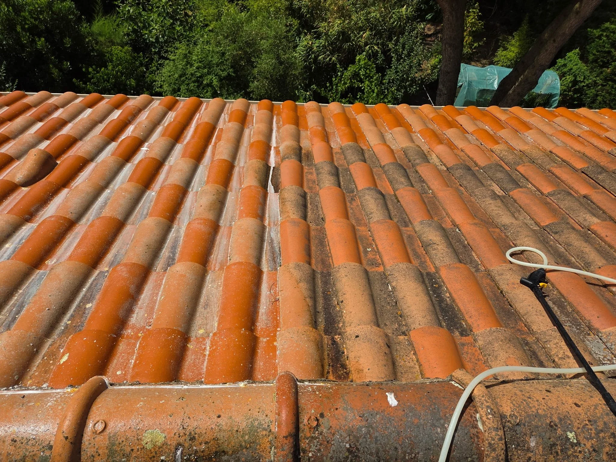 Toit en tuiles en terre cuite orange, avec quelques taches de saleté et débris. En arrière-plan, arbres verts et un treillis en plastique bleu.