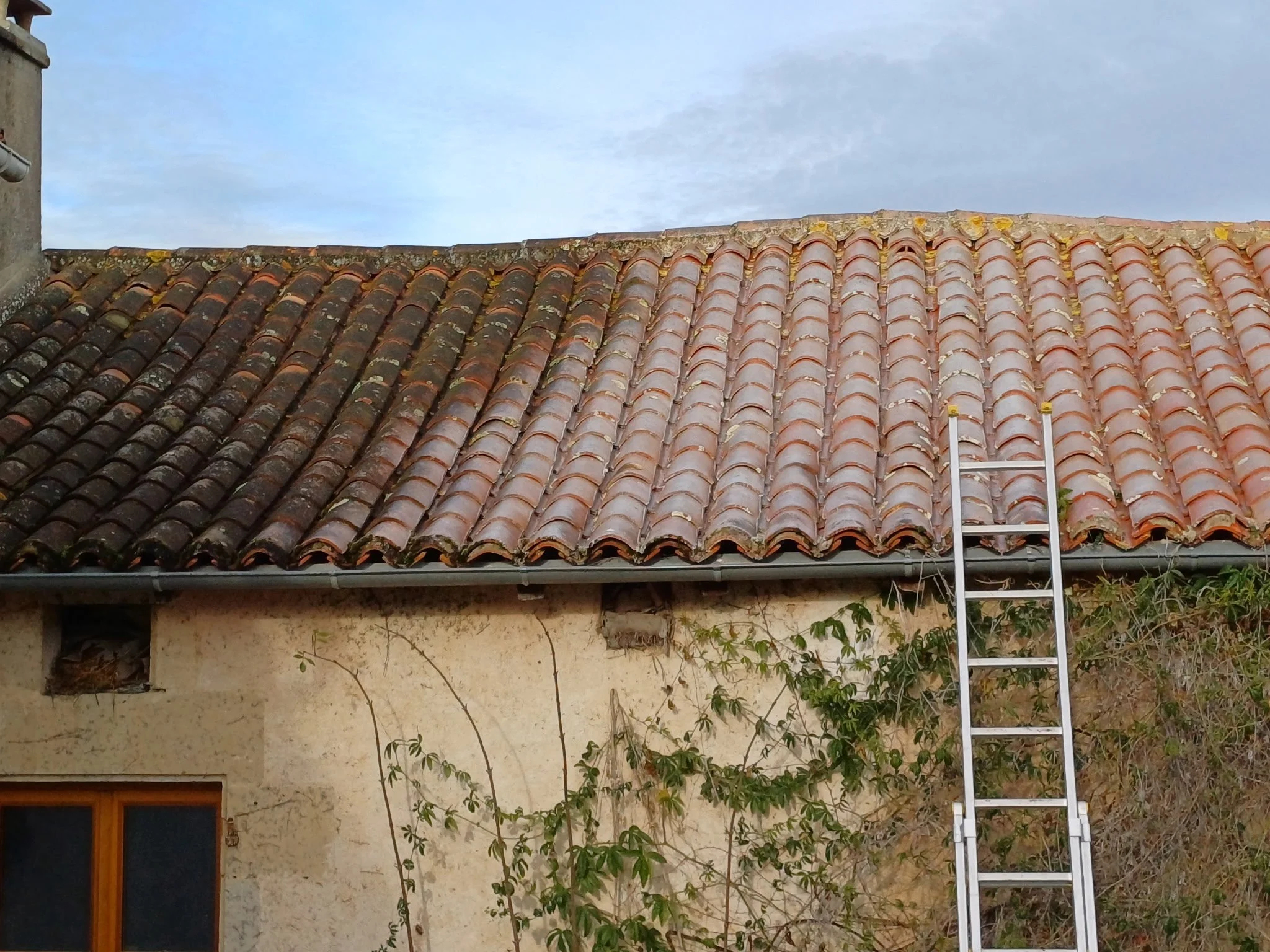 Toit en tuiles terracotta, maison ancienne en pierre avec fenêtres en bois, échelle en métal à côté, végétation grimpante autour.