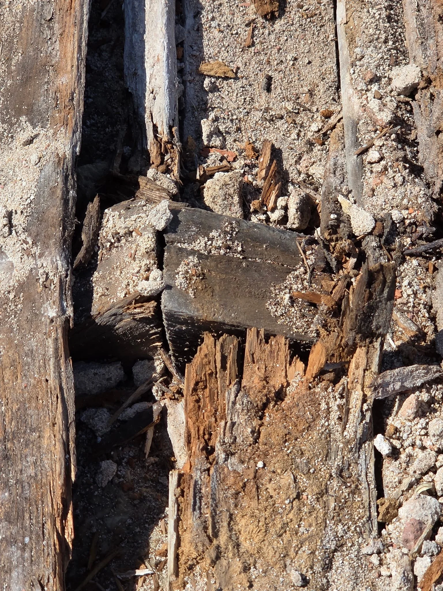 Débris de bois et de terre sur le sol, avec de petites pierres et morceaux de bois cassés, dans un environnement désertique ou de forêt en décomposition.