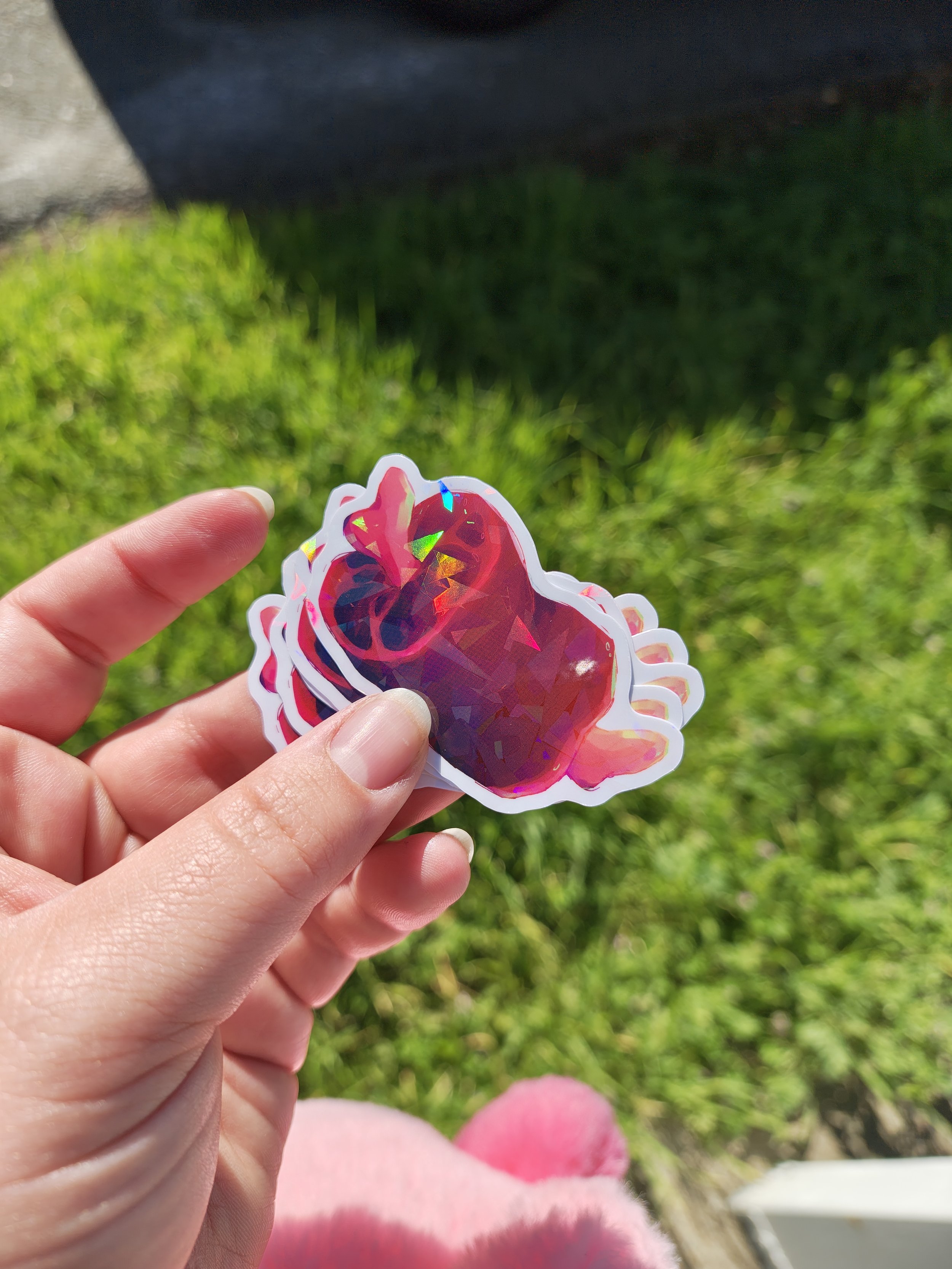RAW MEAT Sticker