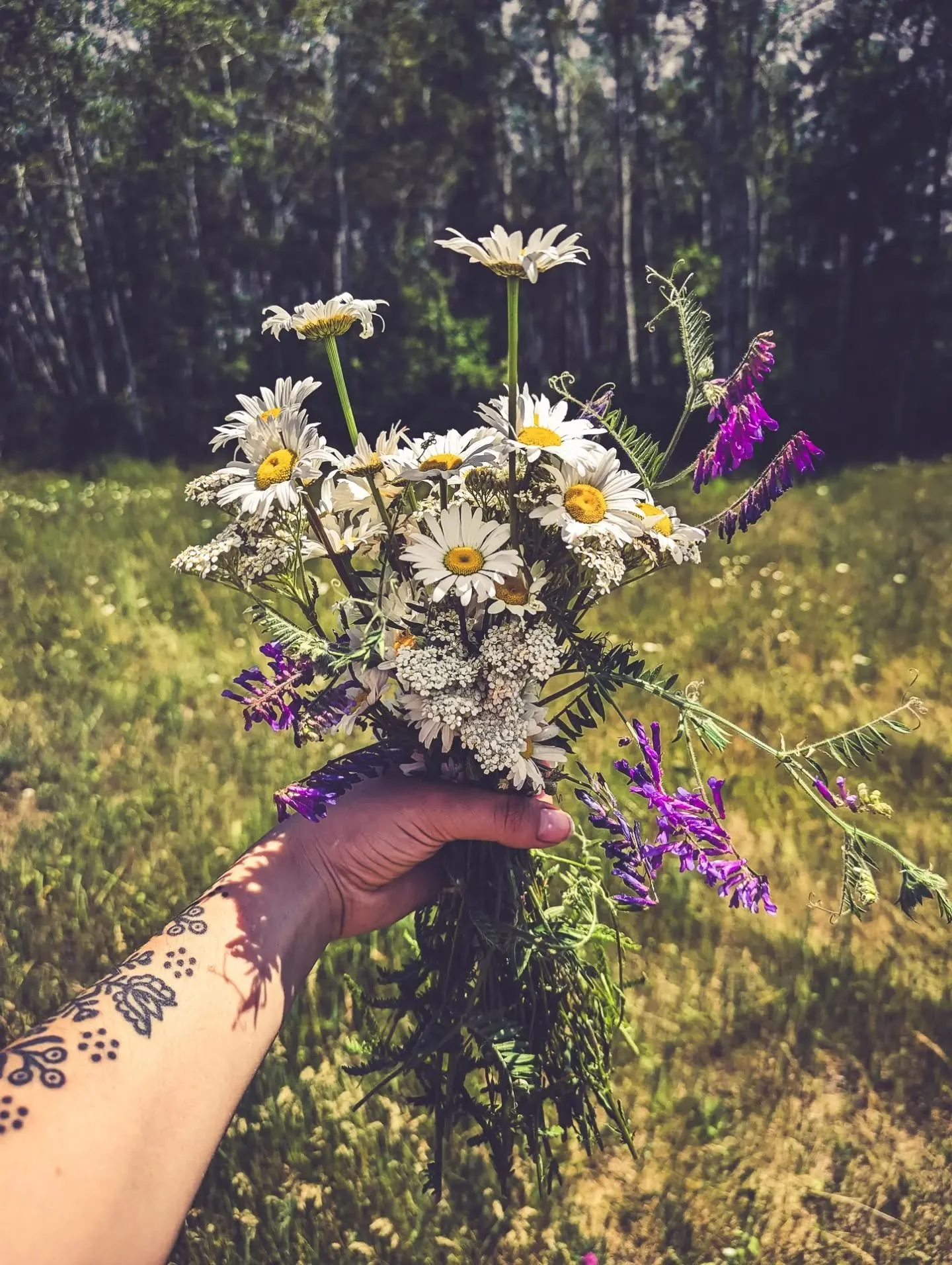 Morning light on the solstice feels different, everything is golden ✨

#summersolstice #flowermedicine #flowermagick #kupala
