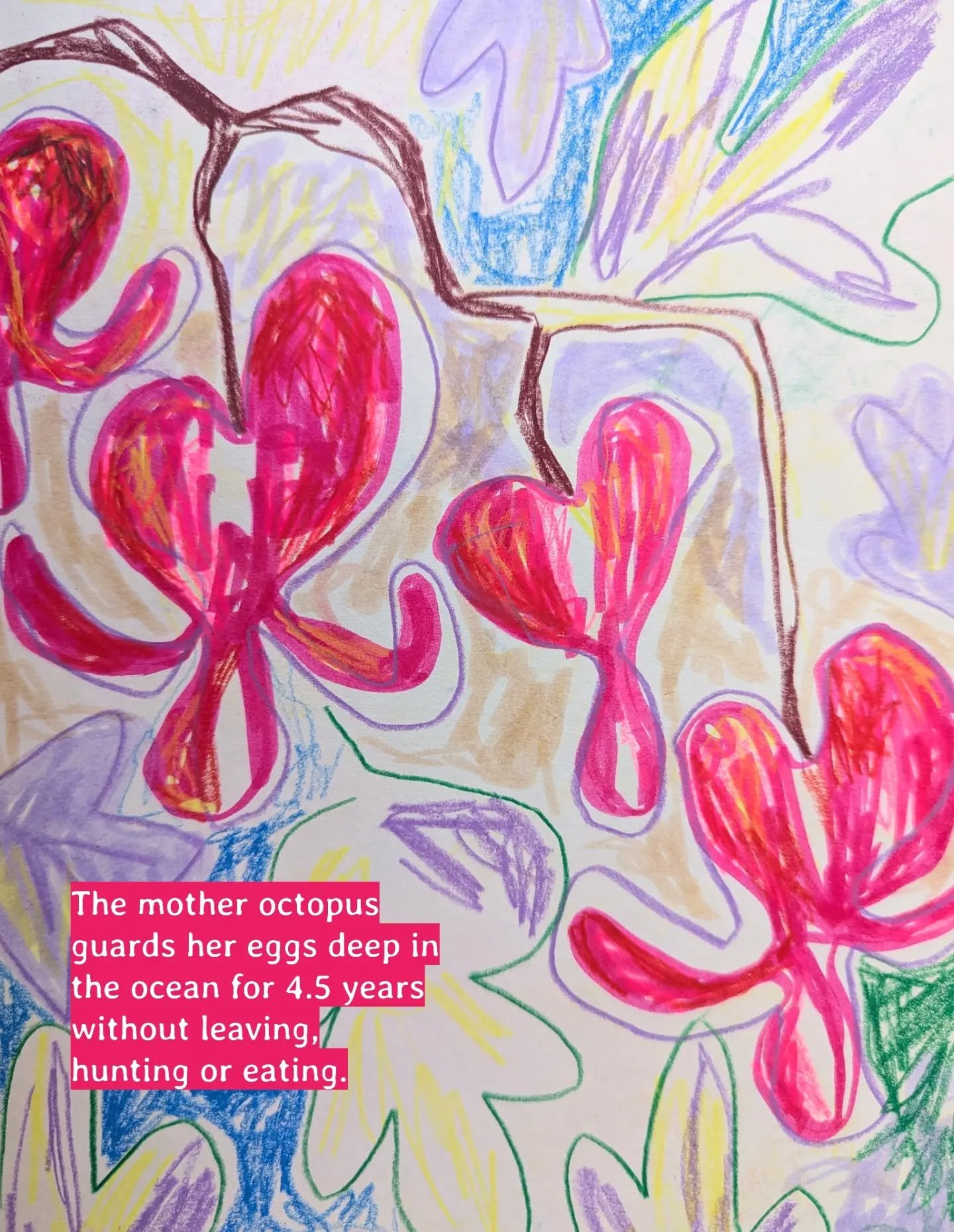 You belong here, on earth ✨ happy late mother's Day to all those who mother, who are mothered, and to our earth mother.

{From this week's newsletter}
