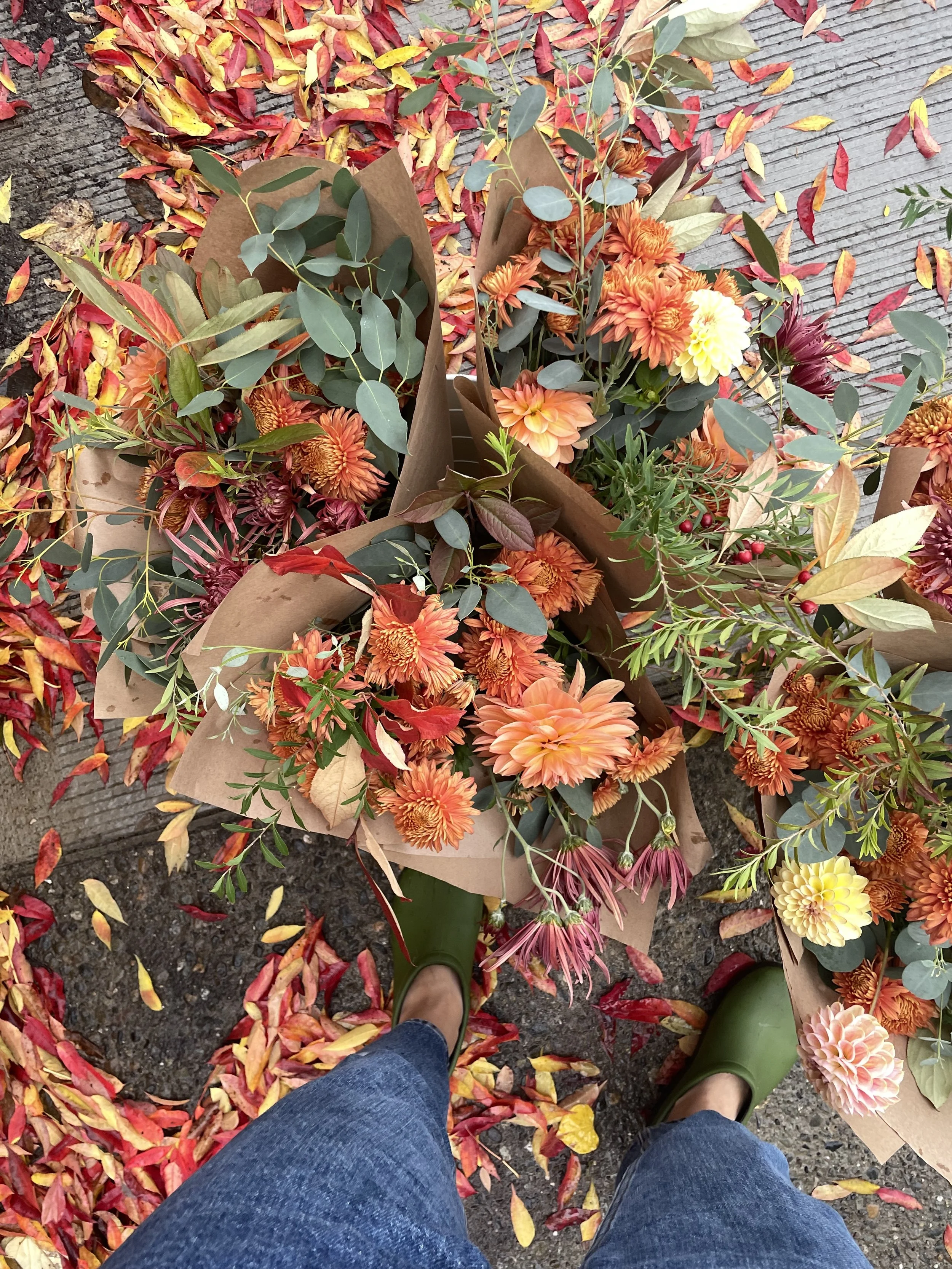 Seasonal Floral CSA - Autumn - 4 weeks