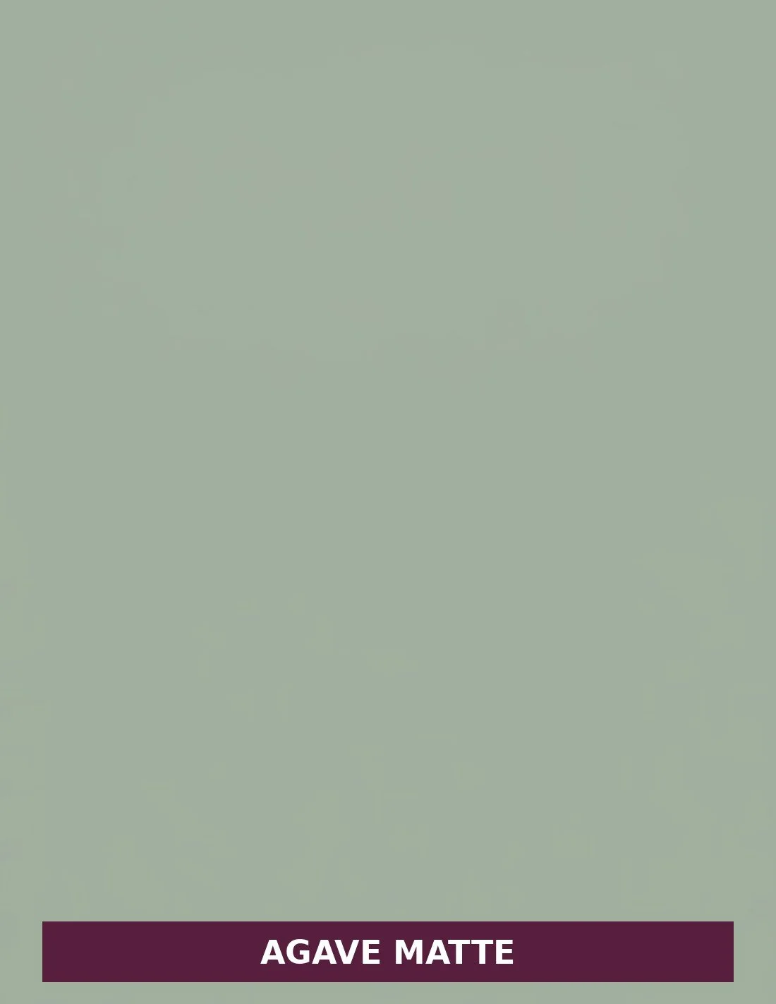Agave-Matte.jpg