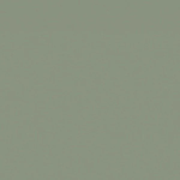 Seagrass