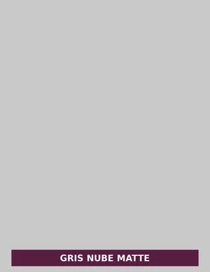 Gris Nube Matte