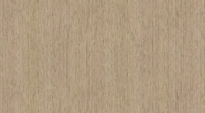 Desert Oak
