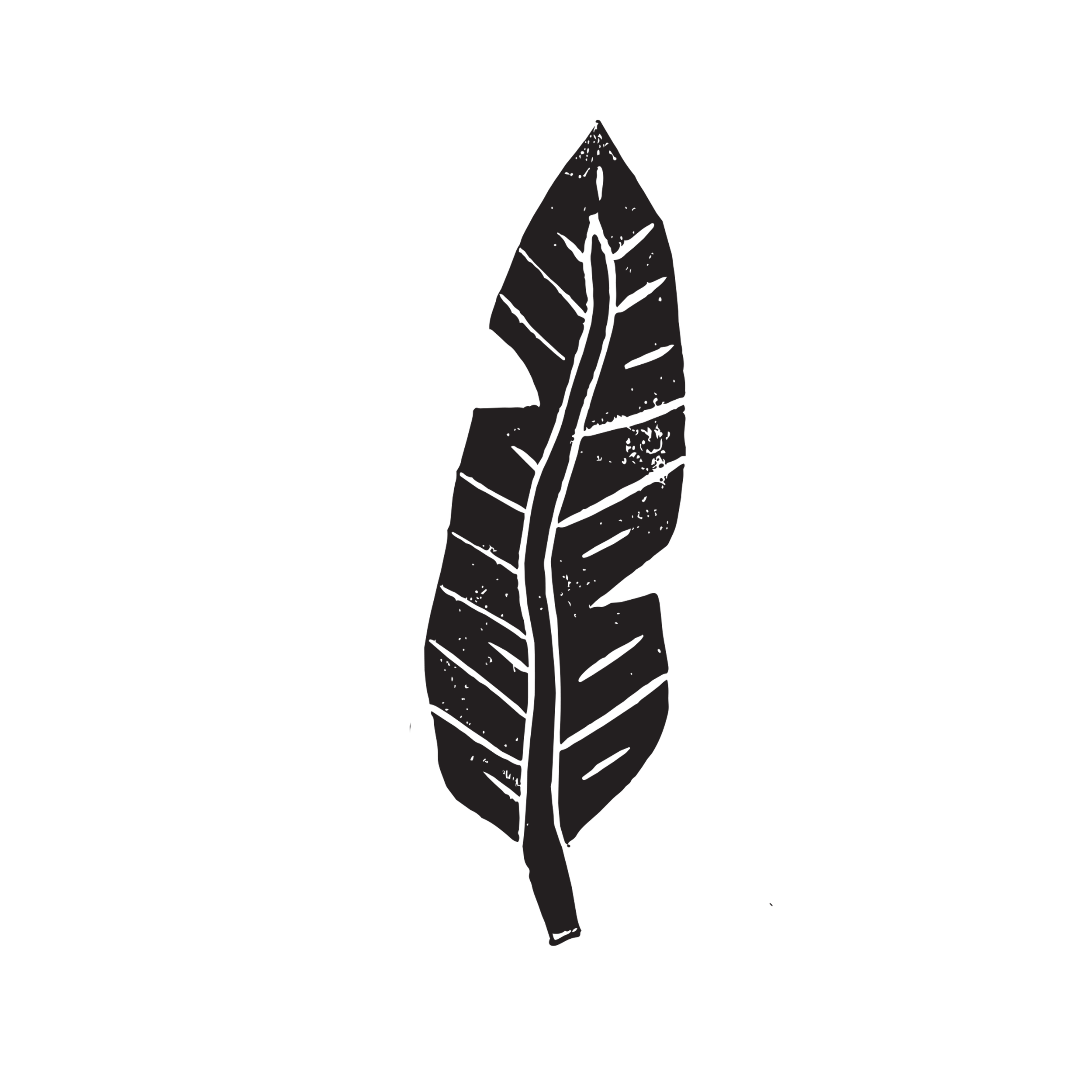 Sketch of a graduate cap and diploma, with a large leaf in the center.